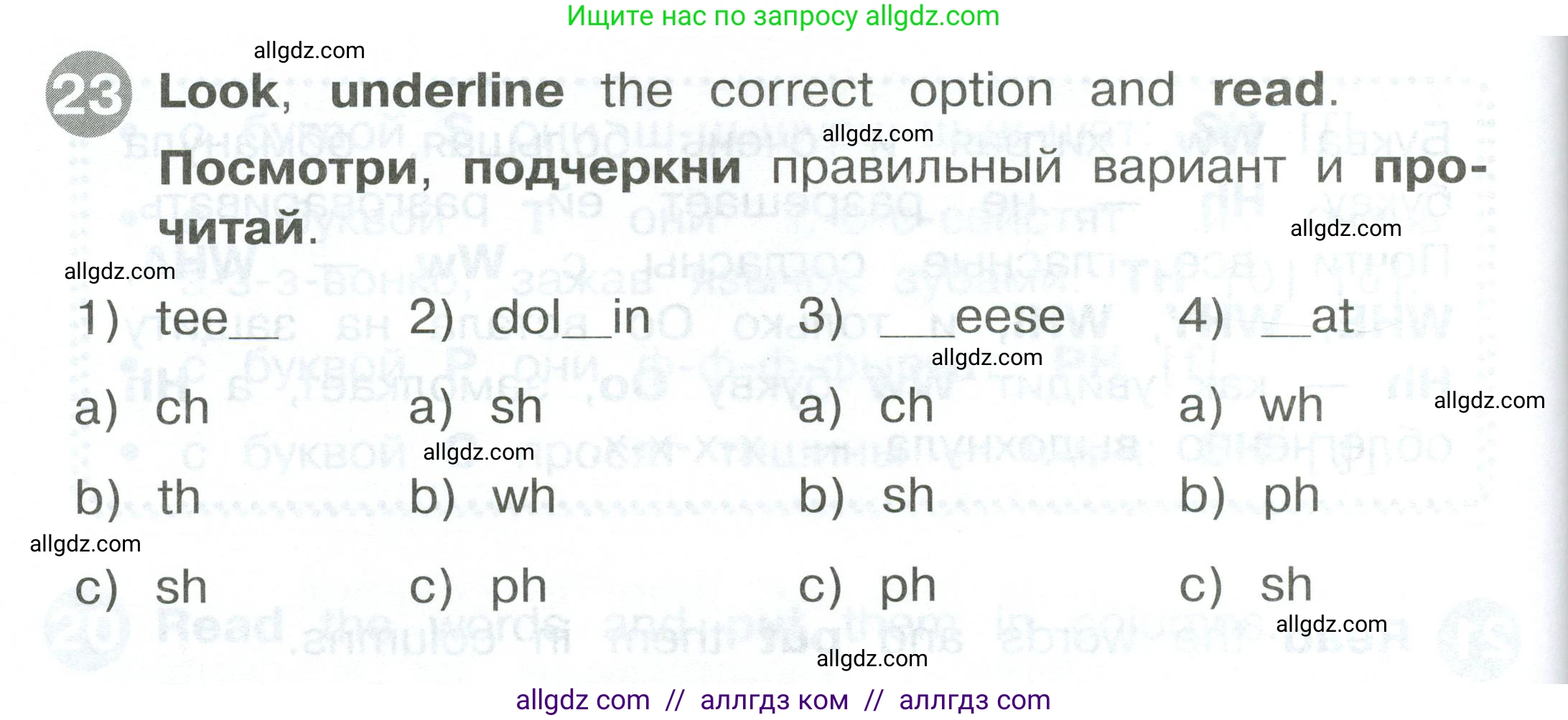 Английский язык (english), 2 класс Сборник упражнений, автор: Котова Марина Петровна, издательство Просвещение, Москва, 2023, белого цвета, страница 36, номер 23, Условие