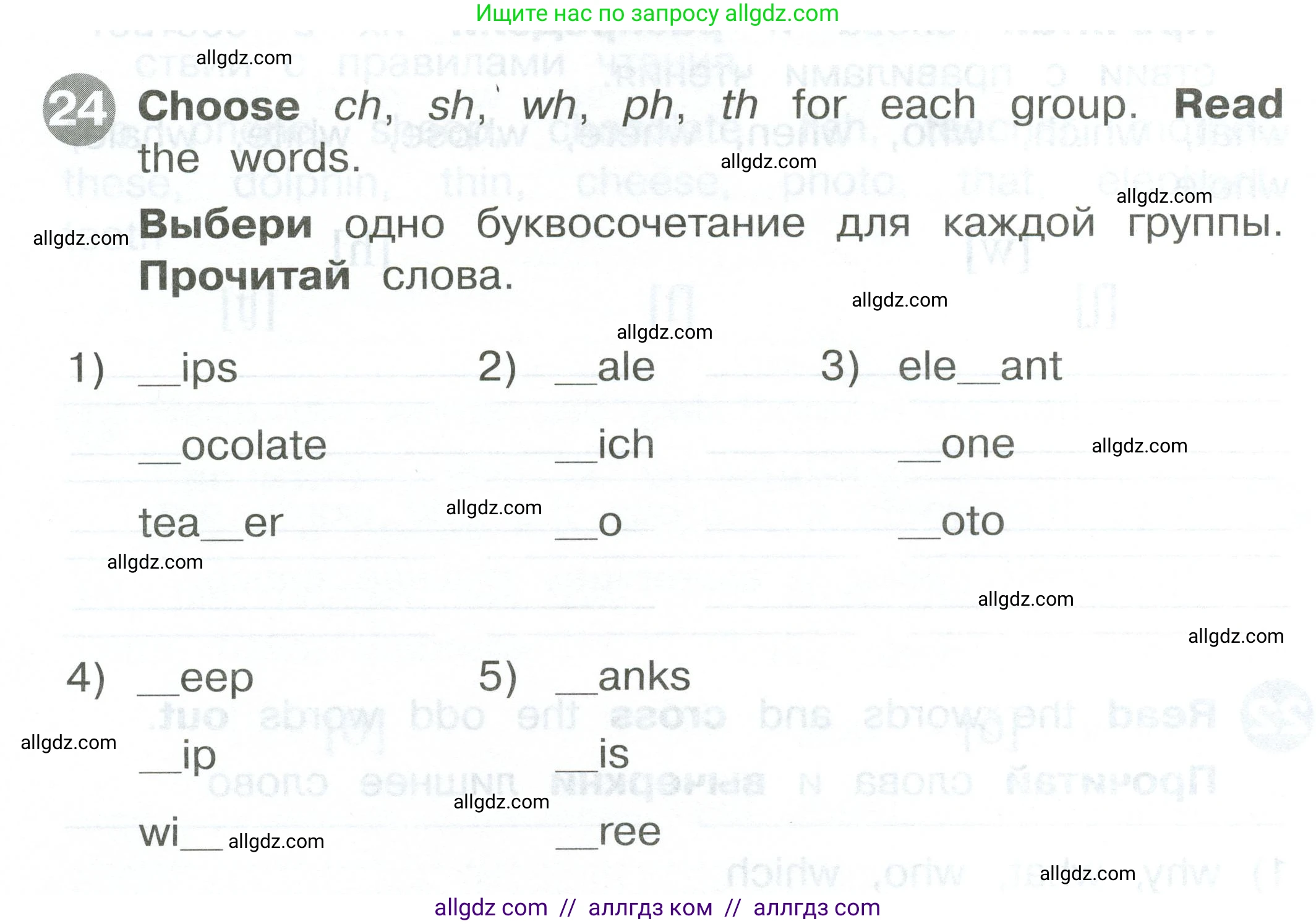 Английский язык (english), 2 класс Сборник упражнений, автор: Котова Марина Петровна, издательство Просвещение, Москва, 2023, белого цвета, страница 36, номер 24, Условие