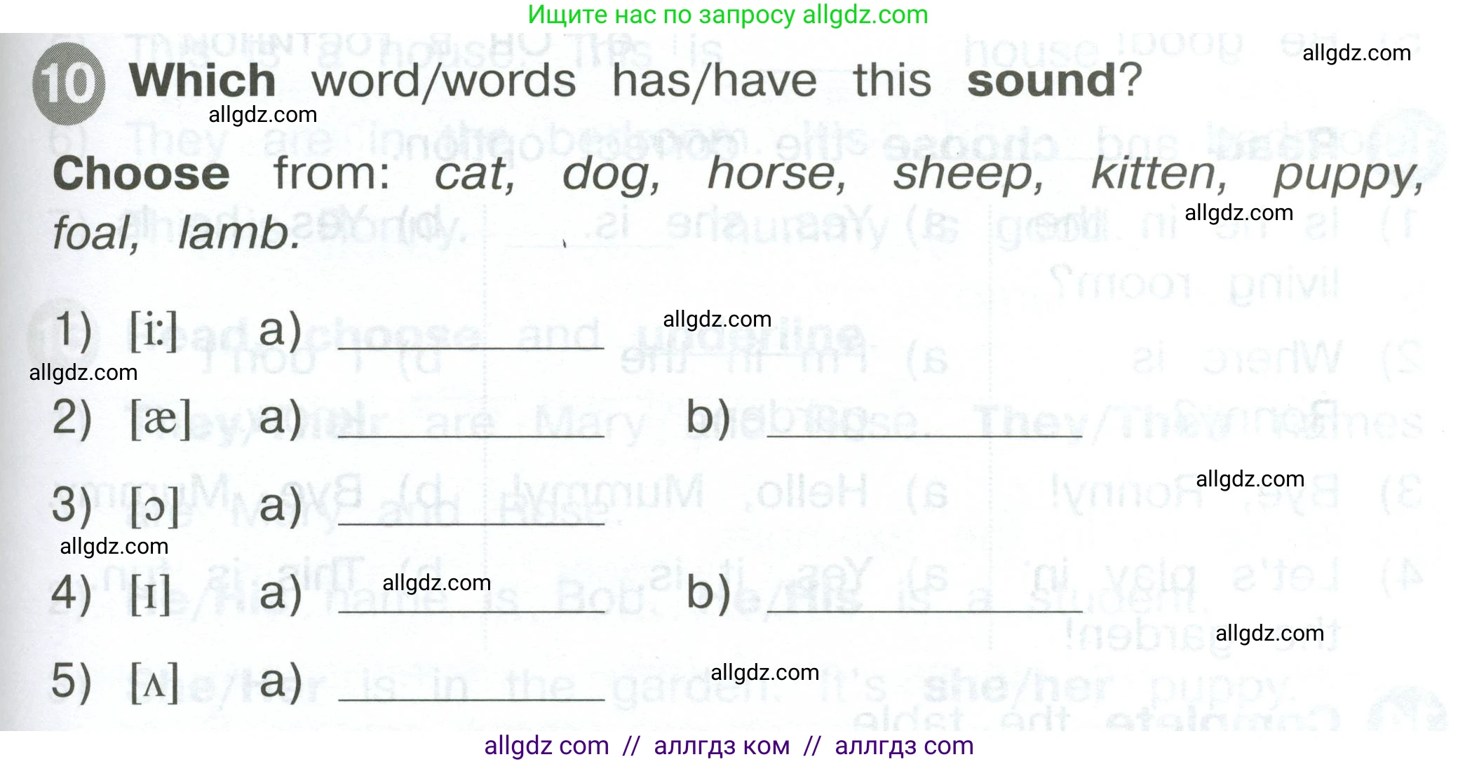 Английский язык (english), 2 класс Сборник упражнений, автор: Котова Марина Петровна, издательство Просвещение, Москва, 2023, белого цвета, страница 43, номер 10, Условие