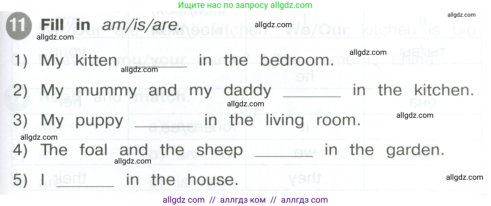 Английский язык (english), 2 класс Сборник упражнений, автор: Котова Марина Петровна, издательство Просвещение, Москва, 2023, белого цвета, страница 43, номер 11, Условие