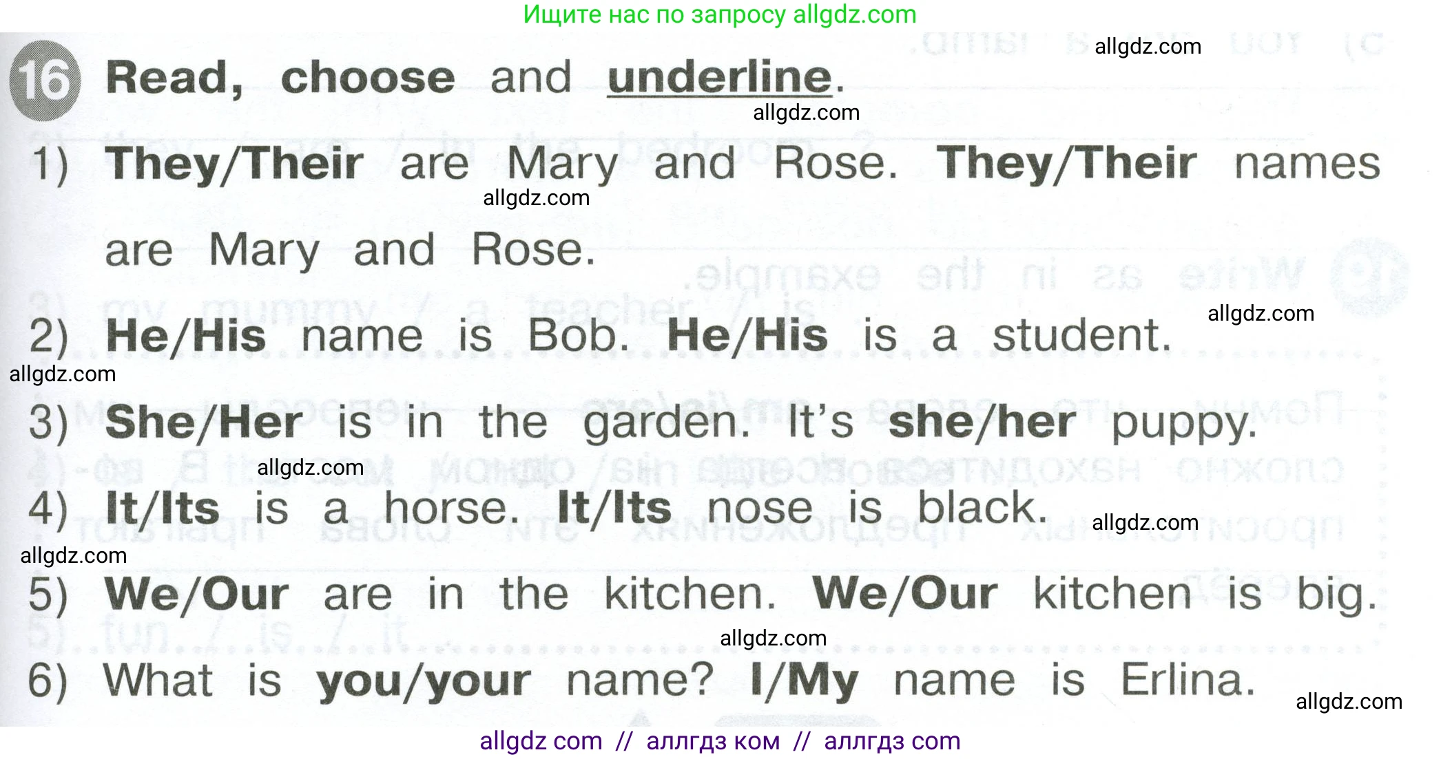 Английский язык (english), 2 класс Сборник упражнений, автор: Котова Марина Петровна, издательство Просвещение, Москва, 2023, белого цвета, страница 45, номер 16, Условие