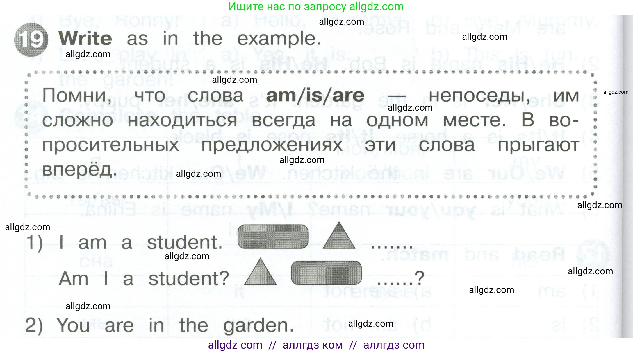 Английский язык (english), 2 класс Сборник упражнений, автор: Котова Марина Петровна, издательство Просвещение, Москва, 2023, белого цвета, страница 46, номер 19, Условие