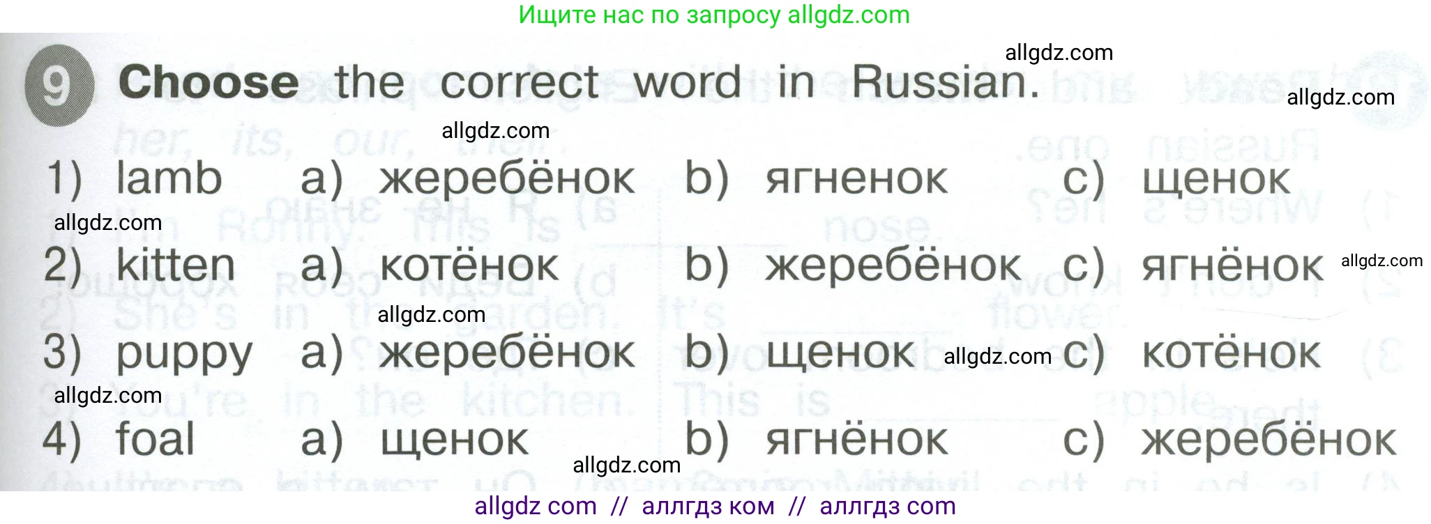 Английский язык (english), 2 класс Сборник упражнений, автор: Котова Марина Петровна, издательство Просвещение, Москва, 2023, белого цвета, страница 43, номер 9, Условие