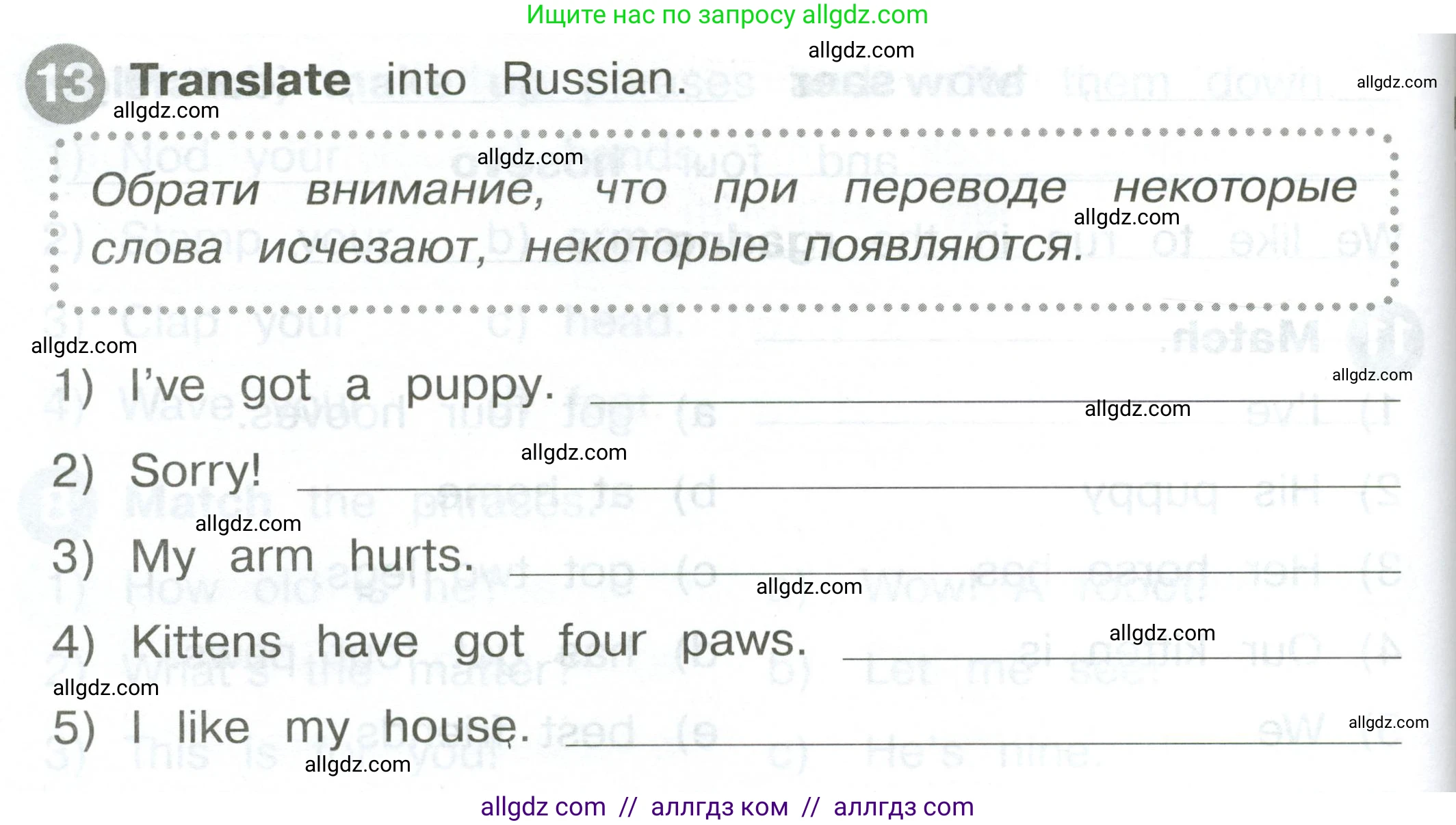 Английский язык (english), 2 класс Сборник упражнений, автор: Котова Марина Петровна, издательство Просвещение, Москва, 2023, белого цвета, страница 64, номер 13, Условие