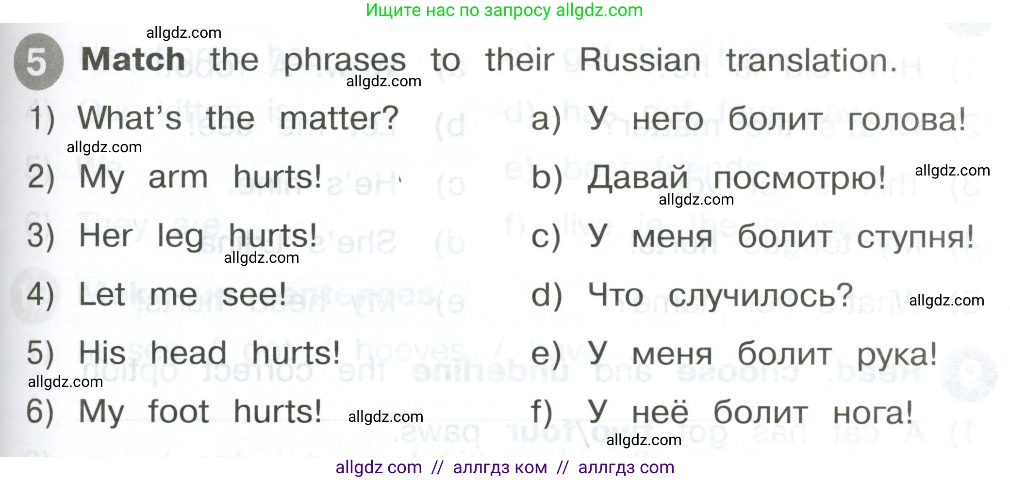 Английский язык (english), 2 класс Сборник упражнений, автор: Котова Марина Петровна, издательство Просвещение, Москва, 2023, белого цвета, страница 61, номер 5, Условие