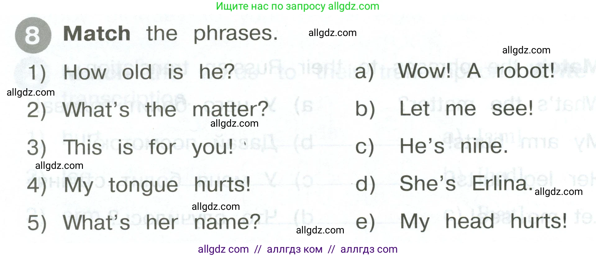 Английский язык (english), 2 класс Сборник упражнений, автор: Котова Марина Петровна, издательство Просвещение, Москва, 2023, белого цвета, страница 62, номер 8, Условие