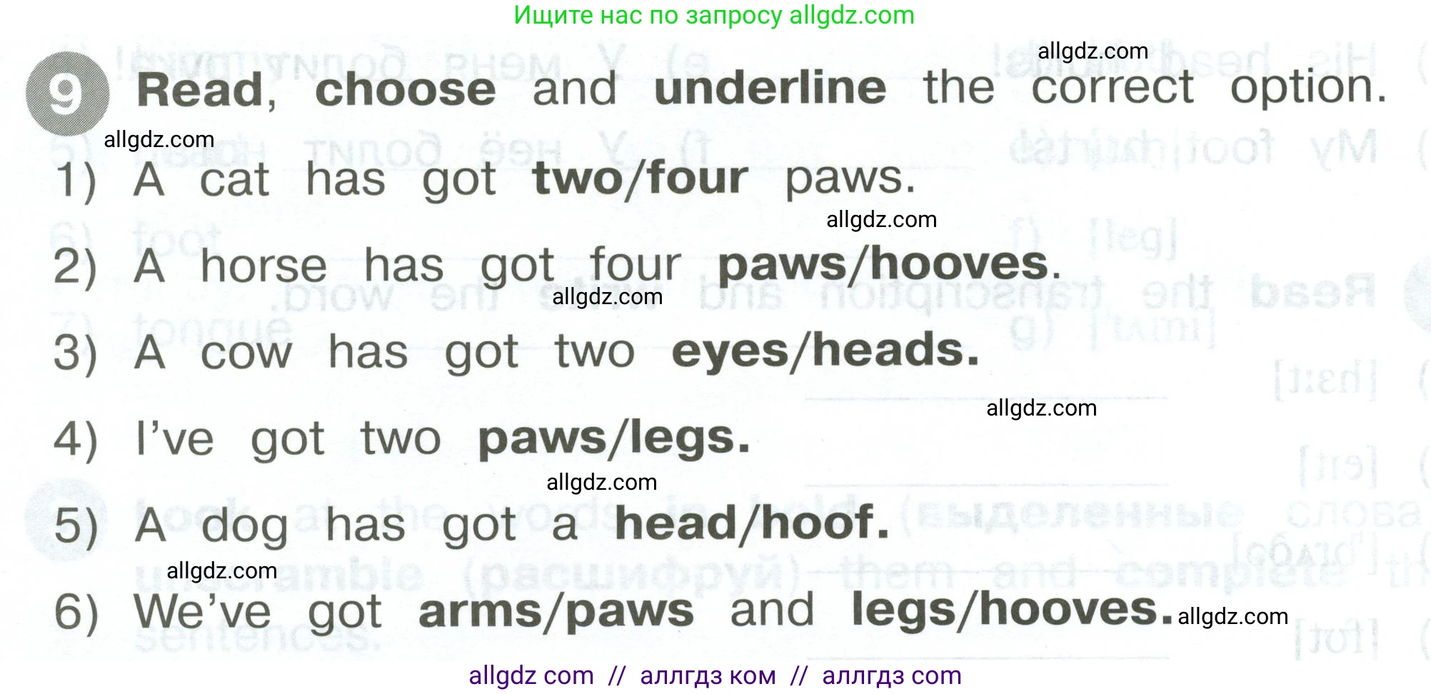 Английский язык (english), 2 класс Сборник упражнений, автор: Котова Марина Петровна, издательство Просвещение, Москва, 2023, белого цвета, страница 62, номер 9, Условие