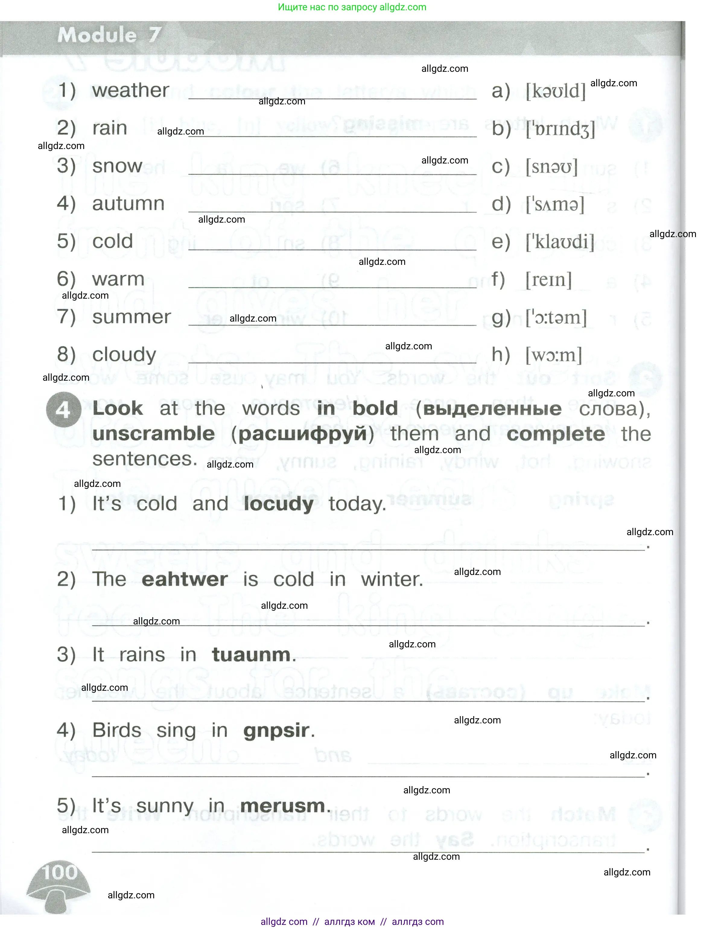 Английский язык (english), 2 класс Сборник упражнений, автор: Котова Марина Петровна, издательство Просвещение, Москва, 2023, белого цвета, страница 100