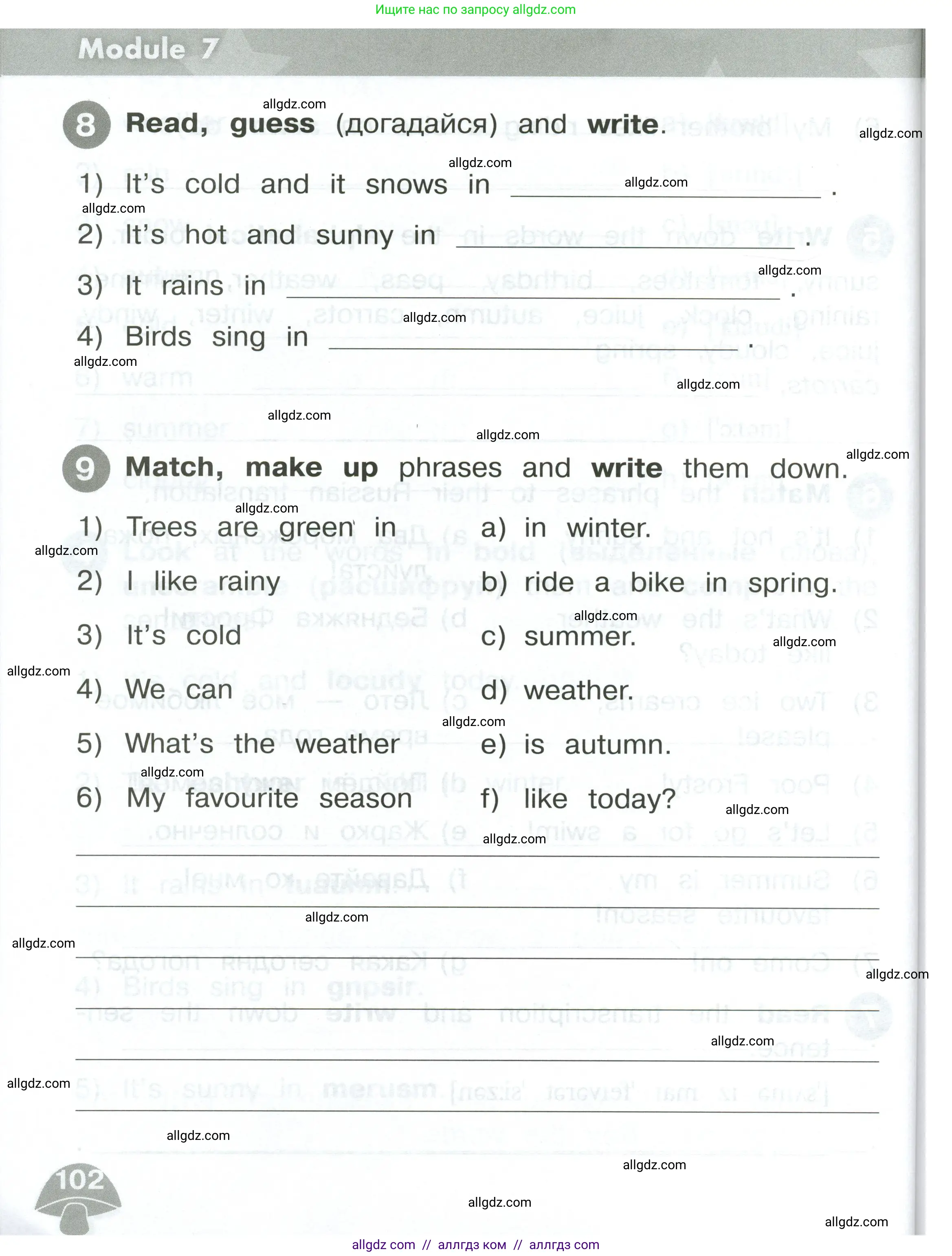 Английский язык (english), 2 класс Сборник упражнений, автор: Котова Марина Петровна, издательство Просвещение, Москва, 2023, белого цвета, страница 102