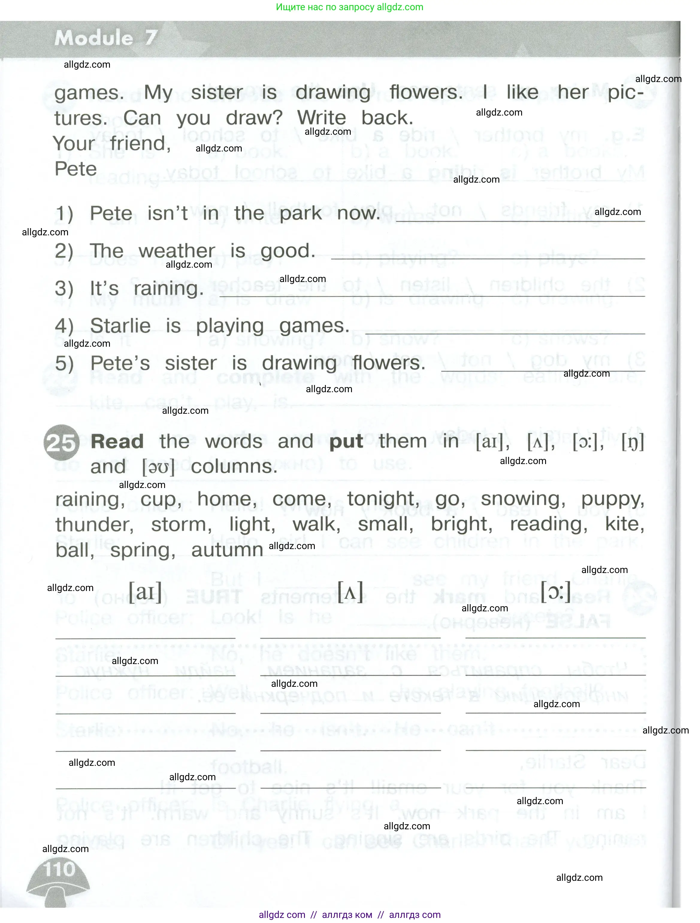 Английский язык (english), 2 класс Сборник упражнений, автор: Котова Марина Петровна, издательство Просвещение, Москва, 2023, белого цвета, страница 110