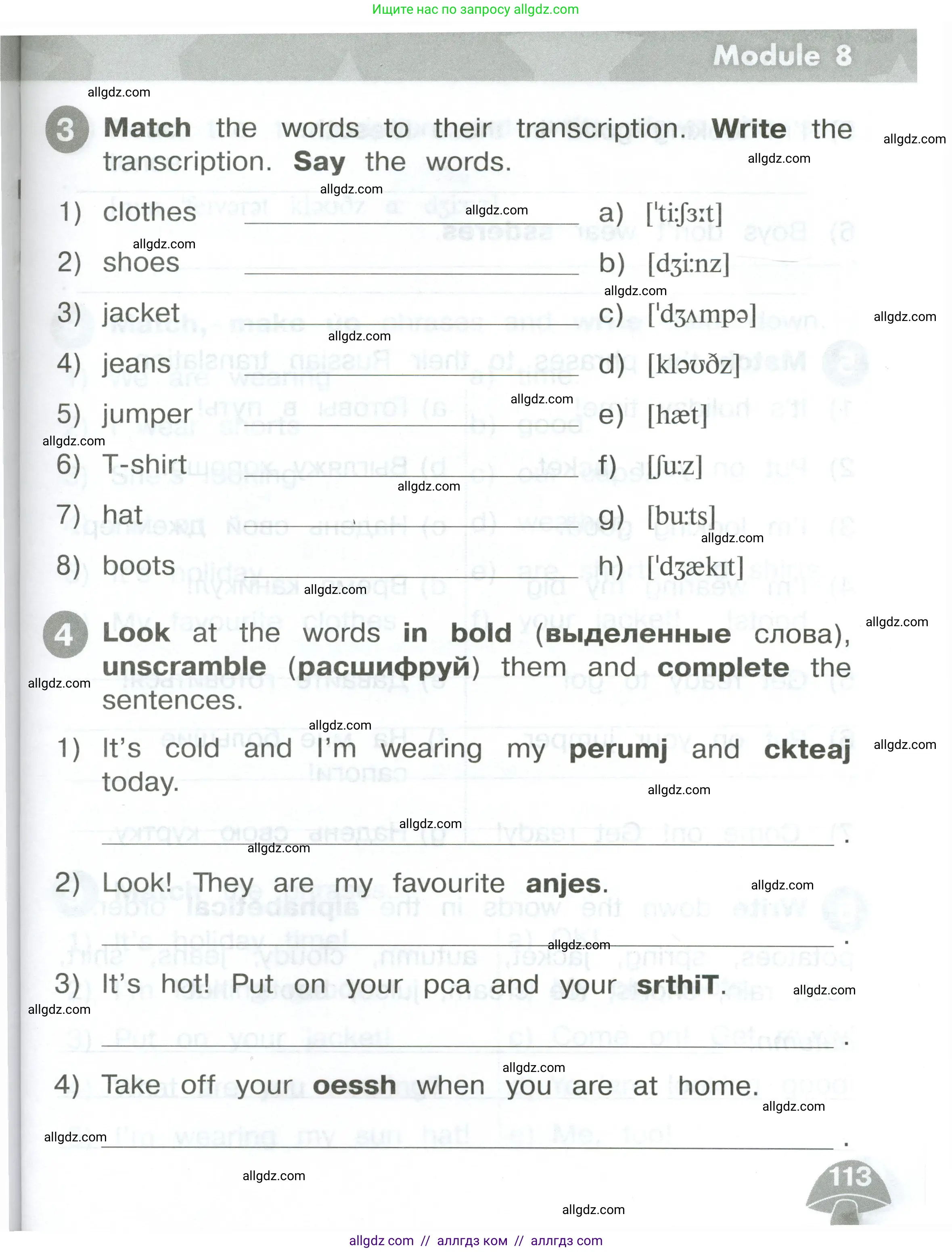 Английский язык (english), 2 класс Сборник упражнений, автор: Котова Марина Петровна, издательство Просвещение, Москва, 2023, белого цвета, страница 113