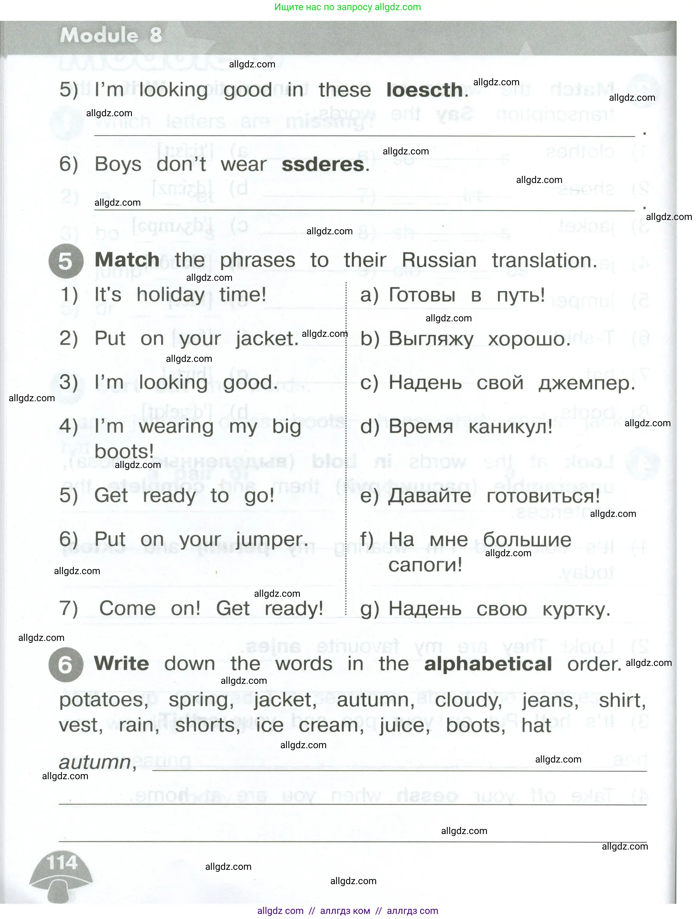 Английский язык (english), 2 класс Сборник упражнений, автор: Котова Марина Петровна, издательство Просвещение, Москва, 2023, белого цвета, страница 114
