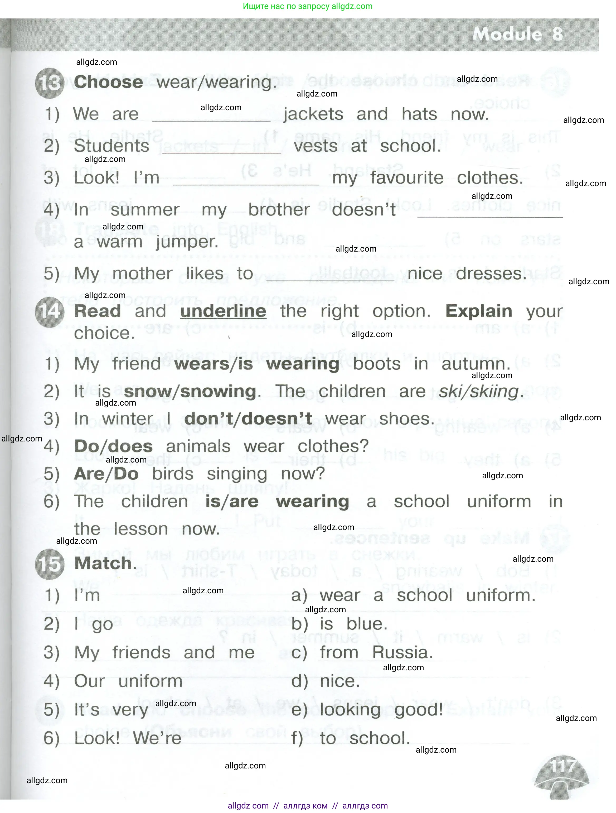 Английский язык (english), 2 класс Сборник упражнений, автор: Котова Марина Петровна, издательство Просвещение, Москва, 2023, белого цвета, страница 117