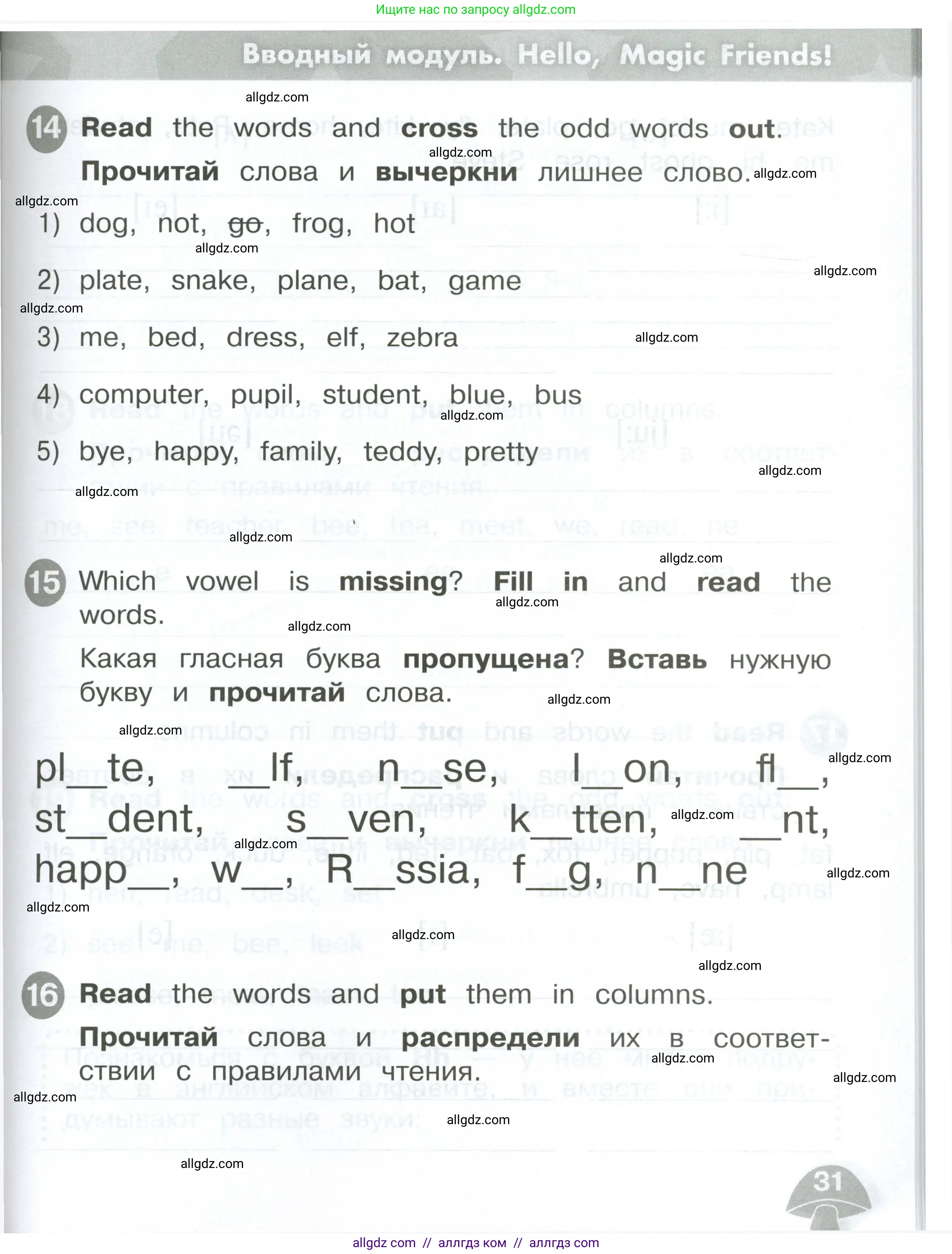 Английский язык (english), 2 класс Сборник упражнений, автор: Котова Марина Петровна, издательство Просвещение, Москва, 2023, белого цвета, страница 31