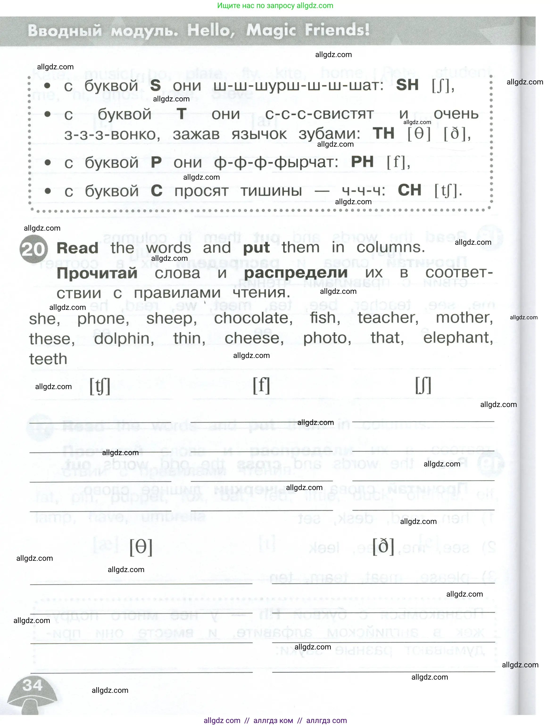 Английский язык (english), 2 класс Сборник упражнений, автор: Котова Марина Петровна, издательство Просвещение, Москва, 2023, белого цвета, страница 34