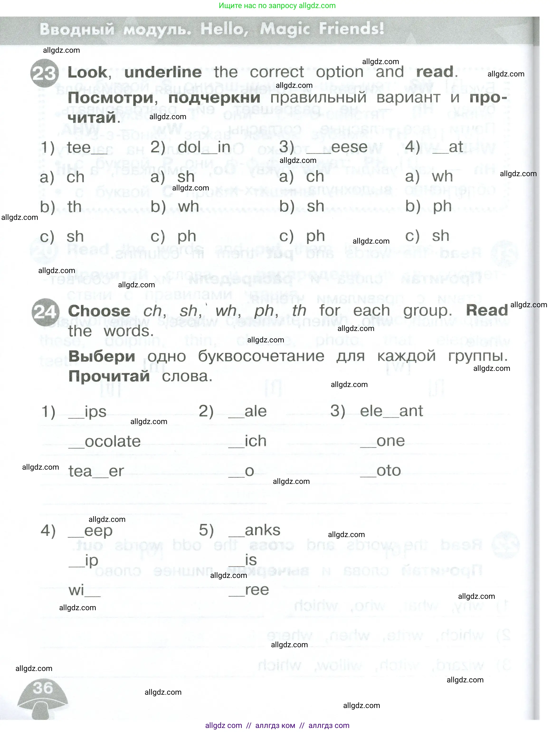 Английский язык (english), 2 класс Сборник упражнений, автор: Котова Марина Петровна, издательство Просвещение, Москва, 2023, белого цвета, страница 36
