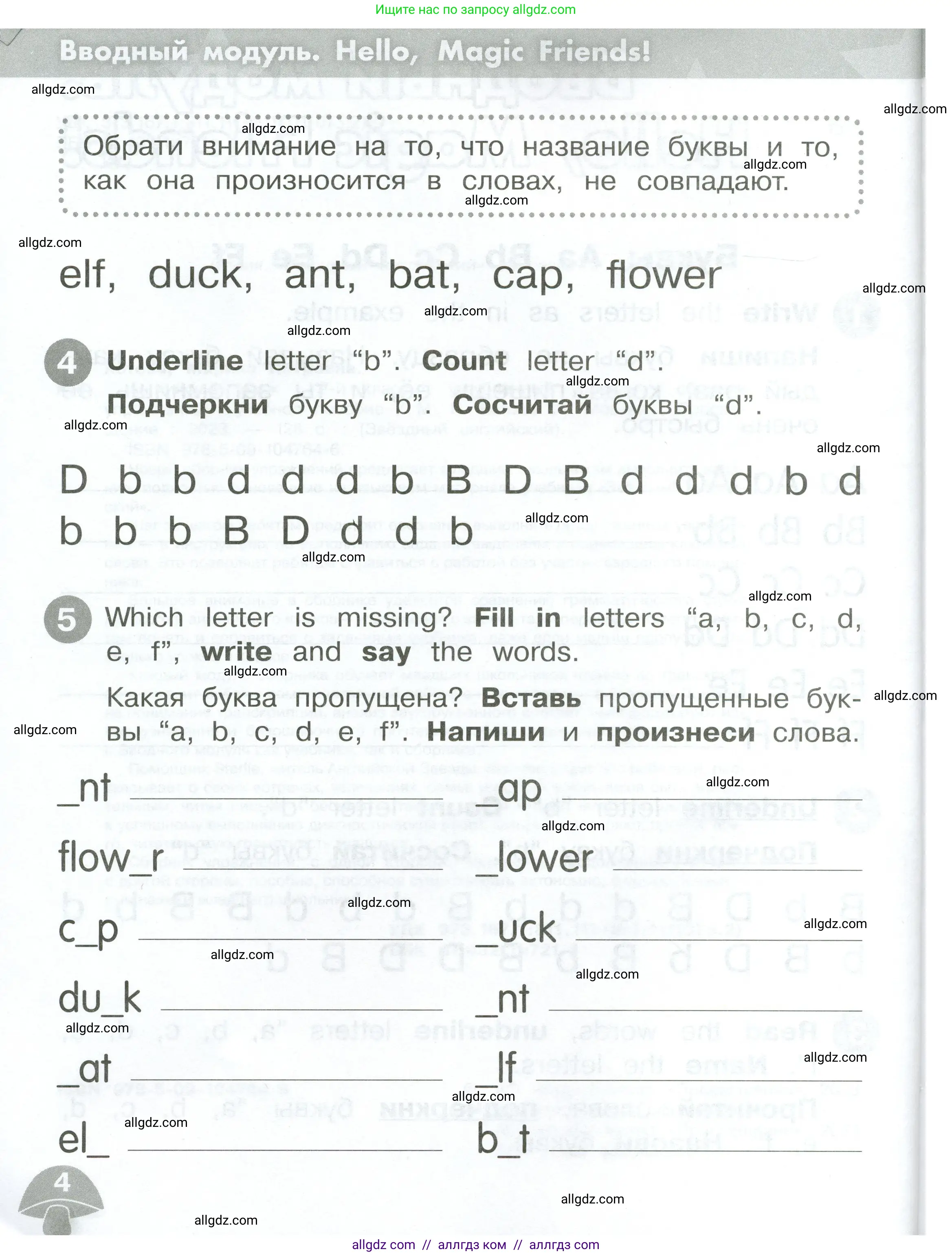 Английский язык (english), 2 класс Сборник упражнений, автор: Котова Марина Петровна, издательство Просвещение, Москва, 2023, белого цвета, страница 4