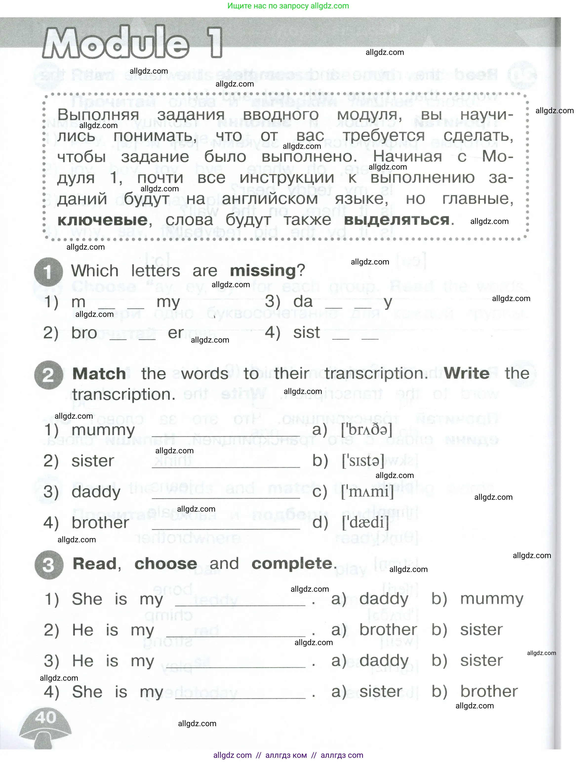 Английский язык (english), 2 класс Сборник упражнений, автор: Котова Марина Петровна, издательство Просвещение, Москва, 2023, белого цвета, страница 40