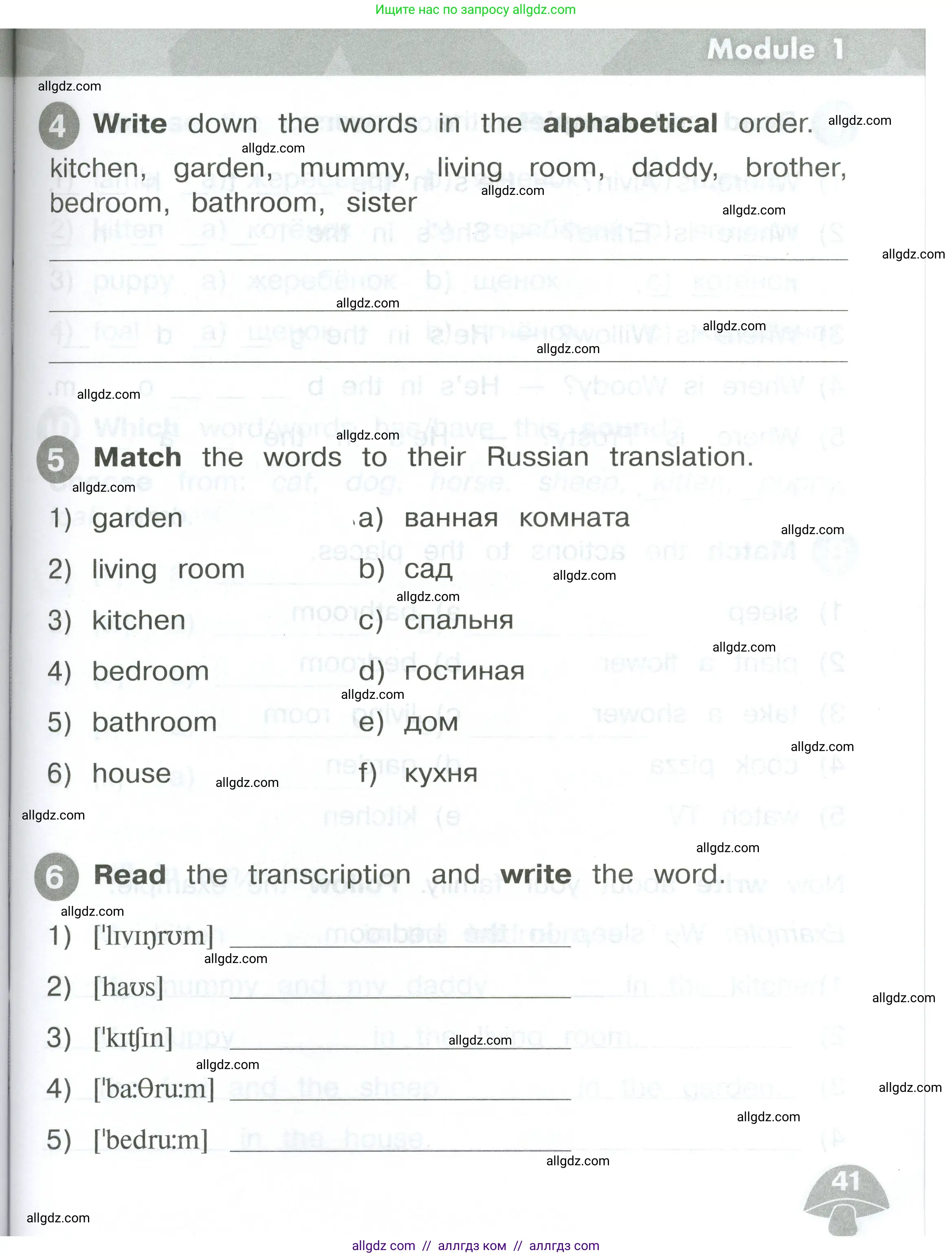 Английский язык (english), 2 класс Сборник упражнений, автор: Котова Марина Петровна, издательство Просвещение, Москва, 2023, белого цвета, страница 41