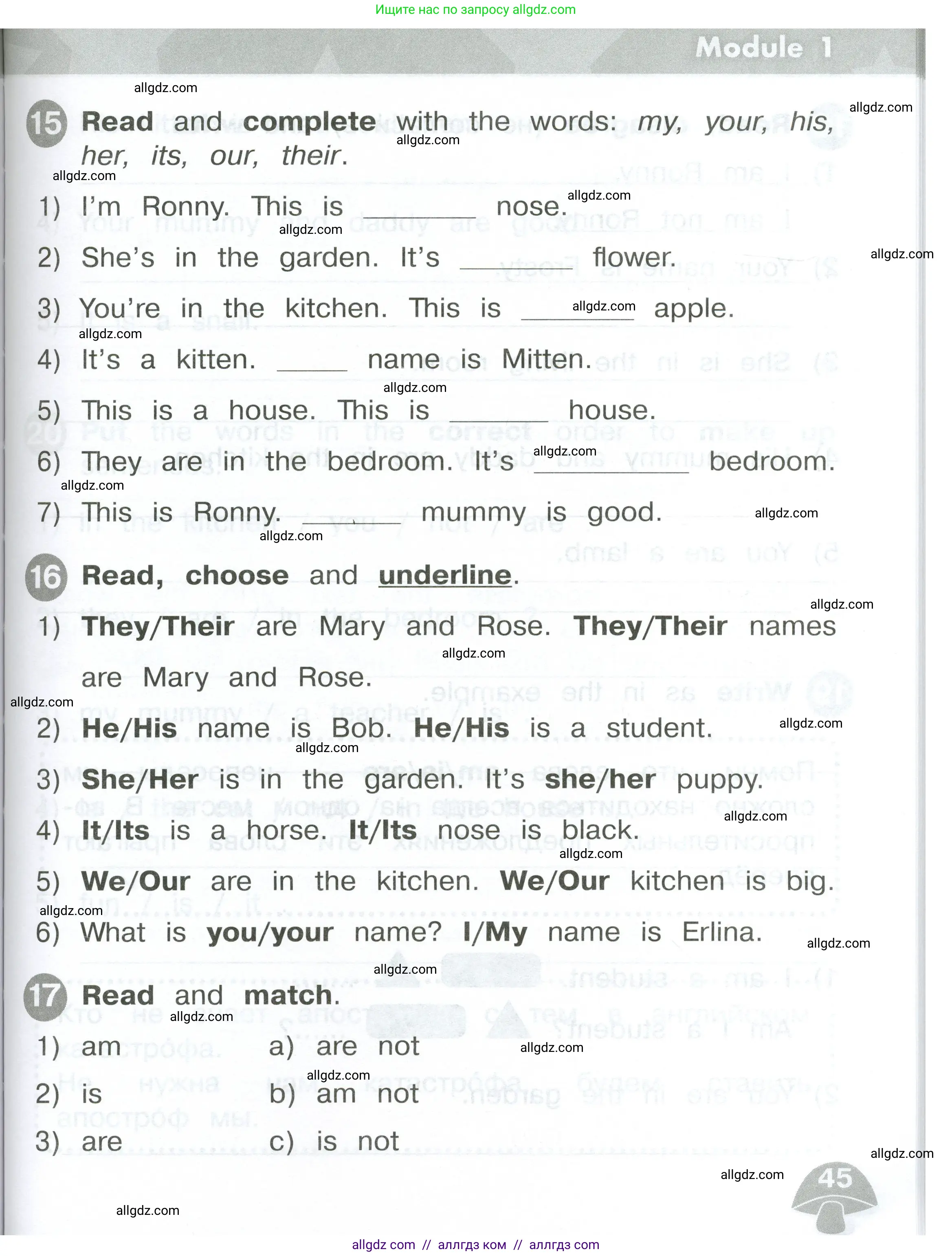 Английский язык (english), 2 класс Сборник упражнений, автор: Котова Марина Петровна, издательство Просвещение, Москва, 2023, белого цвета, страница 45