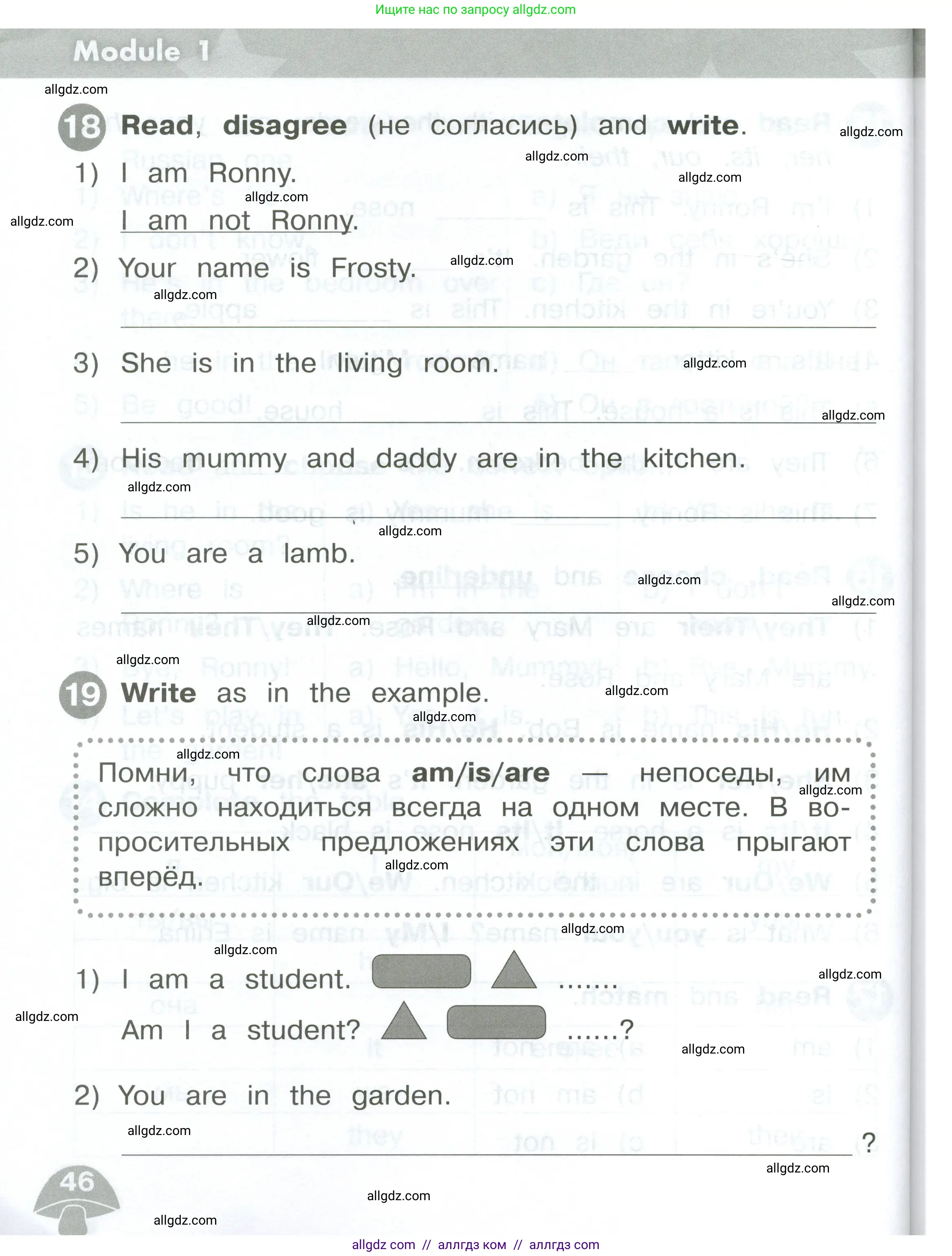 Английский язык (english), 2 класс Сборник упражнений, автор: Котова Марина Петровна, издательство Просвещение, Москва, 2023, белого цвета, страница 46