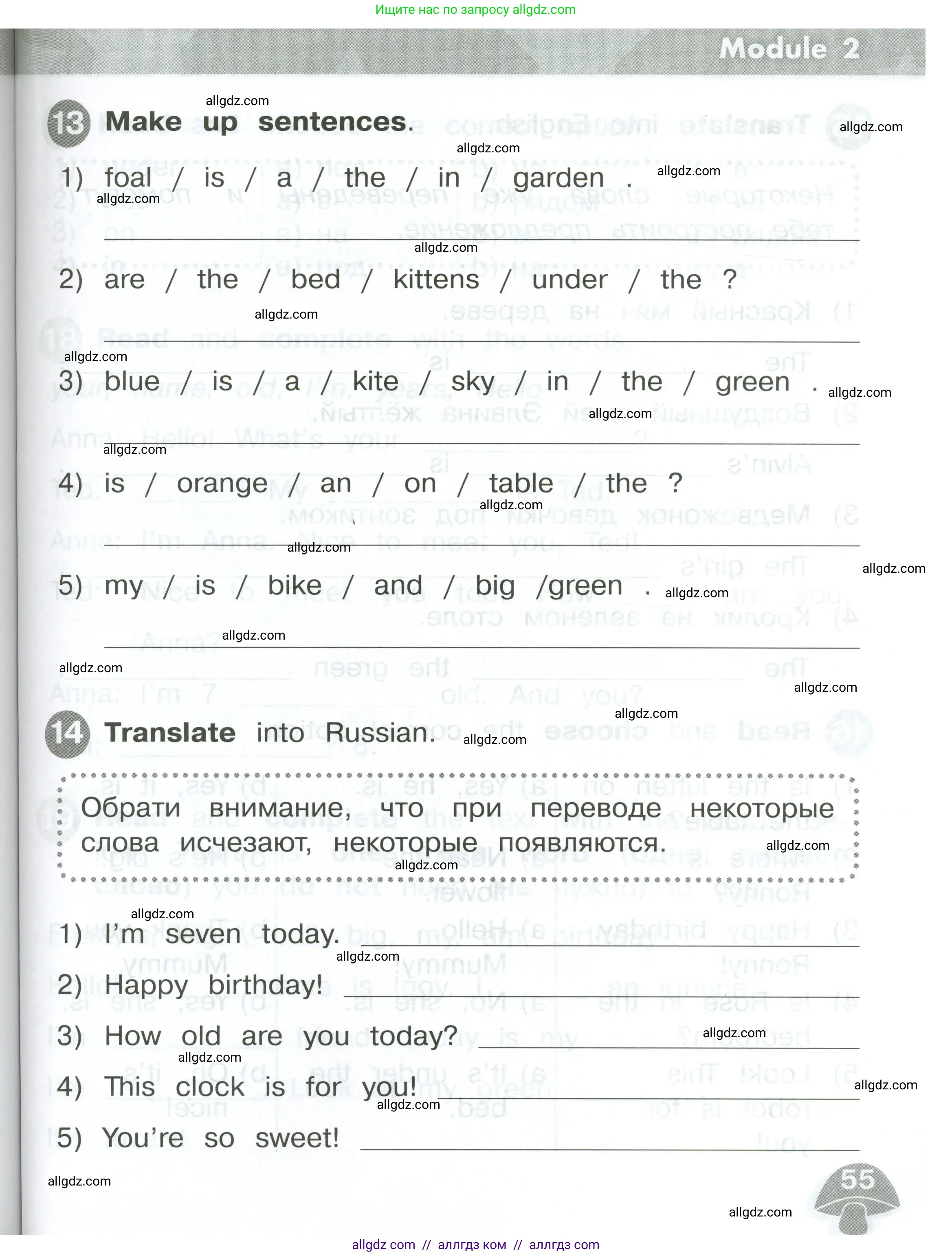 Английский язык (english), 2 класс Сборник упражнений, автор: Котова Марина Петровна, издательство Просвещение, Москва, 2023, белого цвета, страница 55