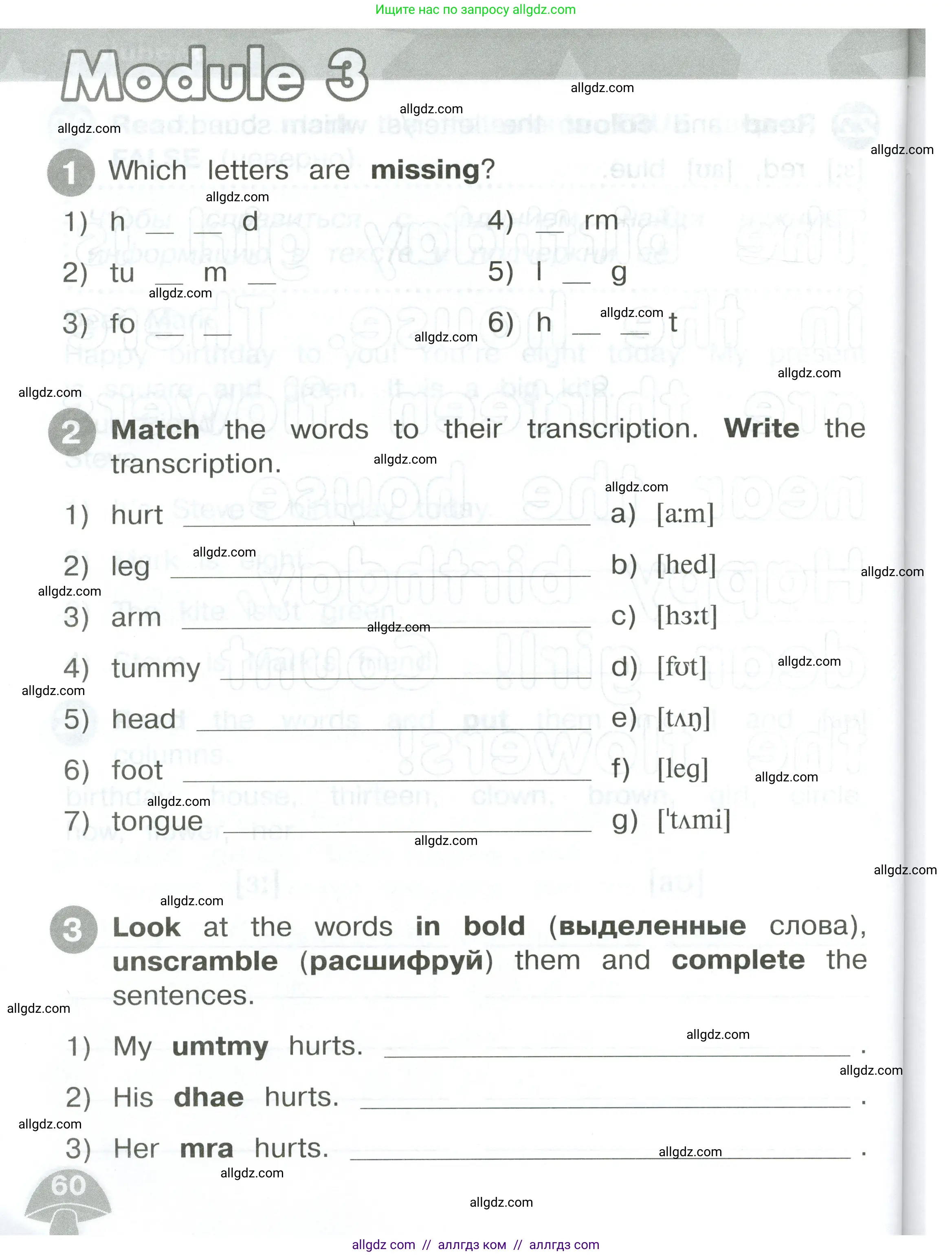 Английский язык (english), 2 класс Сборник упражнений, автор: Котова Марина Петровна, издательство Просвещение, Москва, 2023, белого цвета, страница 60
