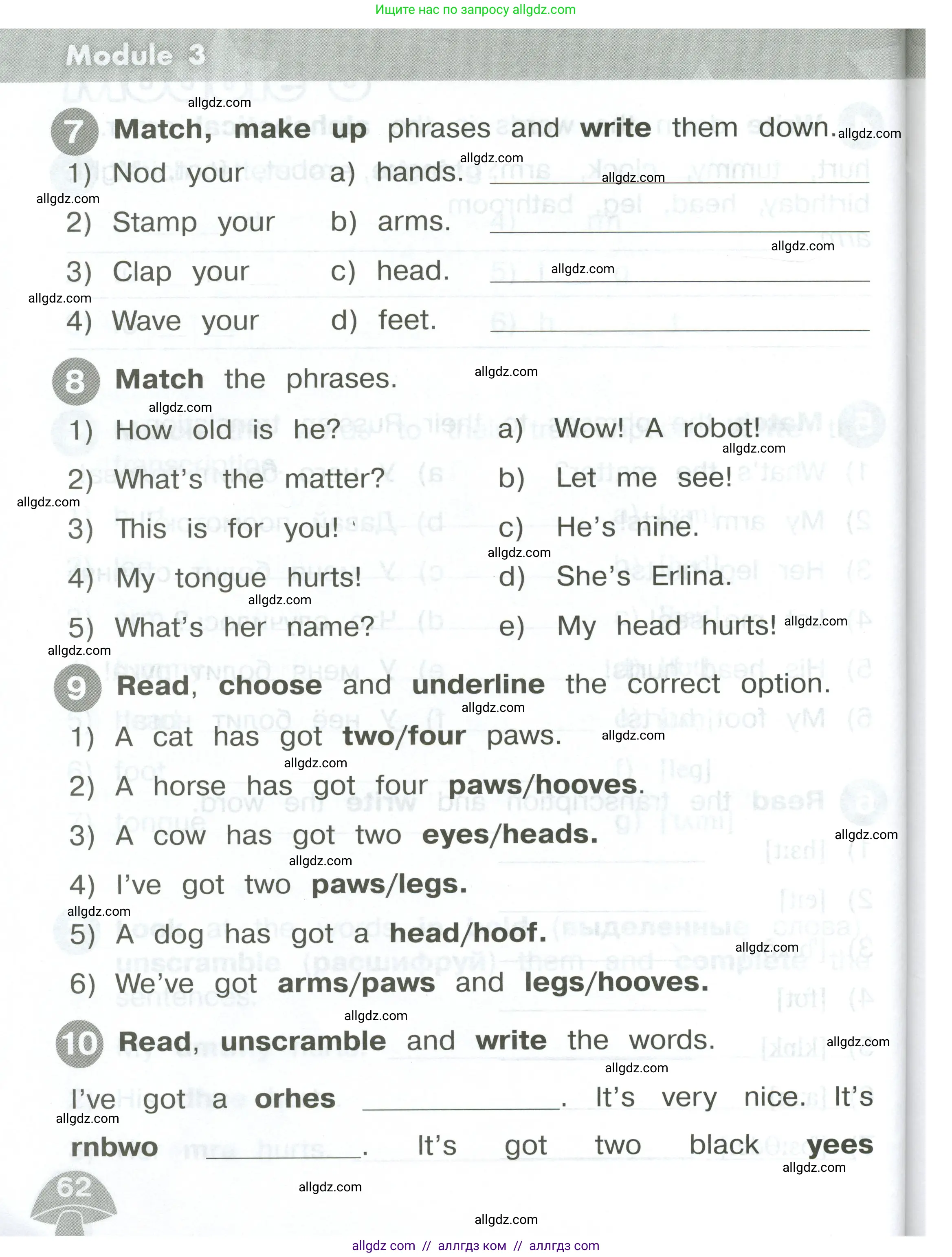 Английский язык (english), 2 класс Сборник упражнений, автор: Котова Марина Петровна, издательство Просвещение, Москва, 2023, белого цвета, страница 62