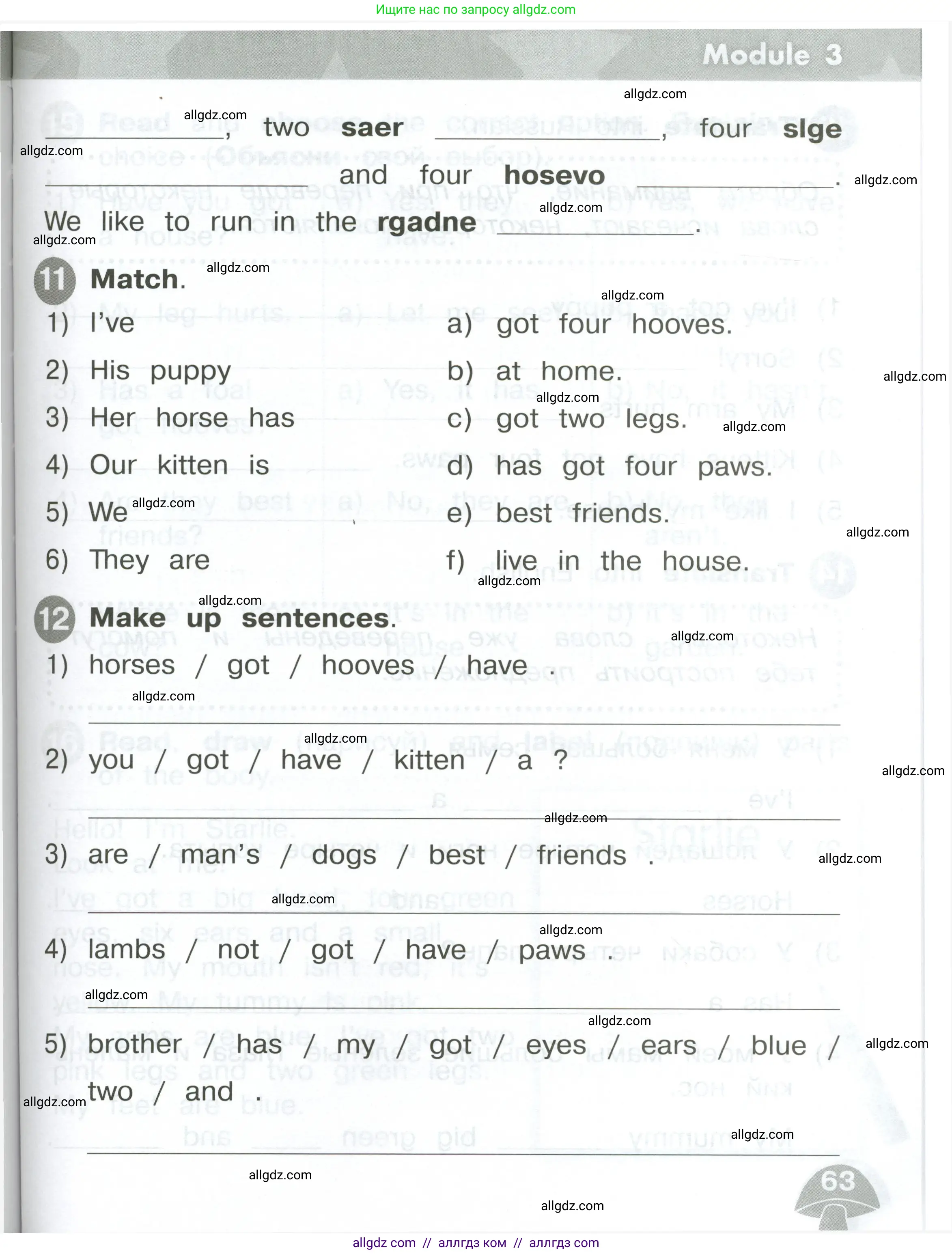 Английский язык (english), 2 класс Сборник упражнений, автор: Котова Марина Петровна, издательство Просвещение, Москва, 2023, белого цвета, страница 63