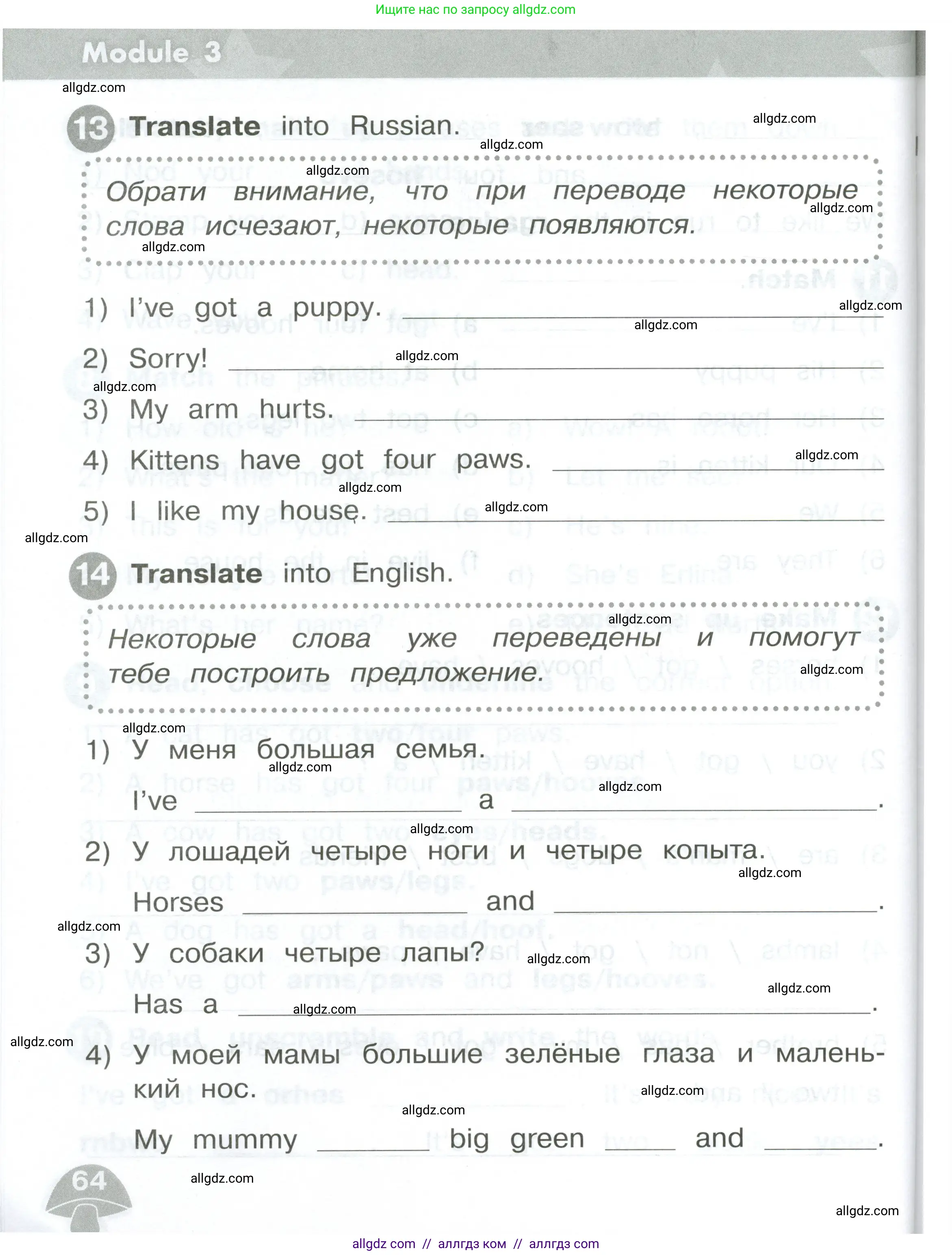 Английский язык (english), 2 класс Сборник упражнений, автор: Котова Марина Петровна, издательство Просвещение, Москва, 2023, белого цвета, страница 64
