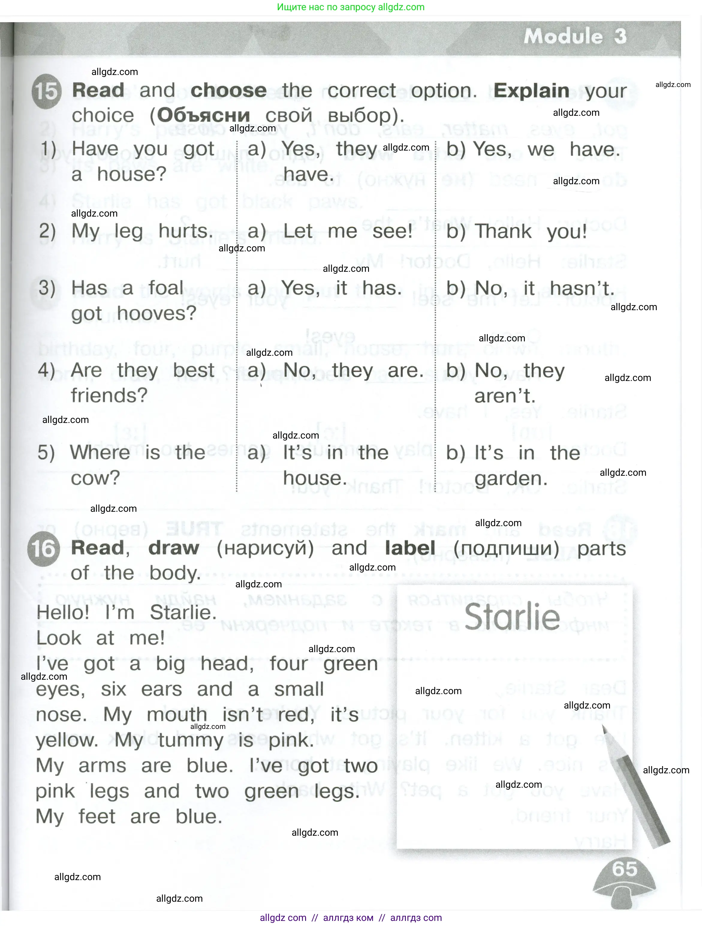Английский язык (english), 2 класс Сборник упражнений, автор: Котова Марина Петровна, издательство Просвещение, Москва, 2023, белого цвета, страница 65