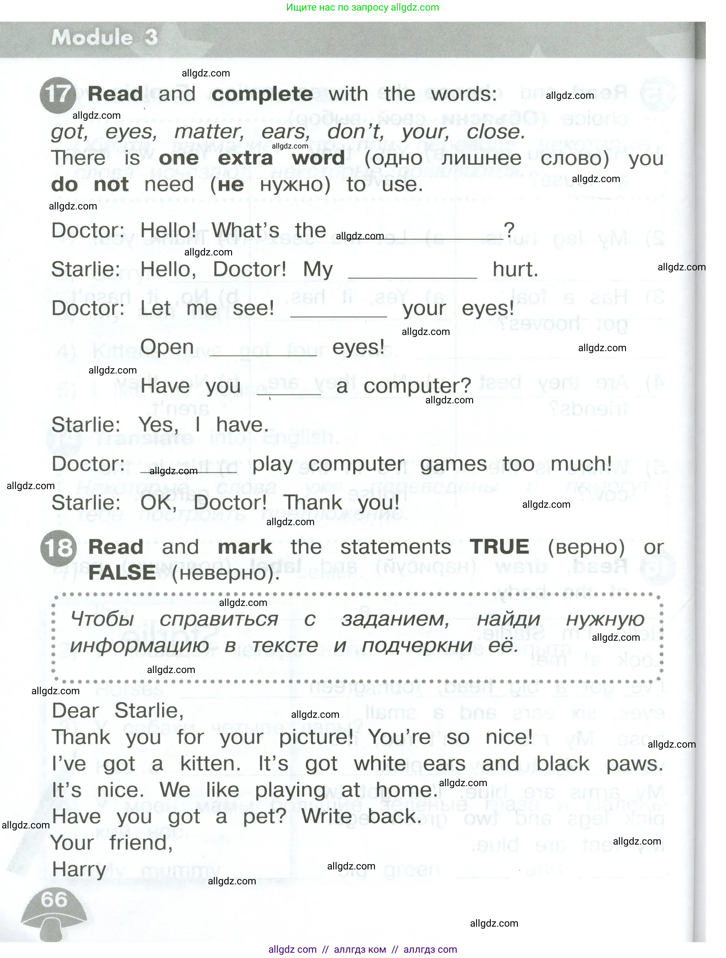 Английский язык (english), 2 класс Сборник упражнений, автор: Котова Марина Петровна, издательство Просвещение, Москва, 2023, белого цвета, страница 66