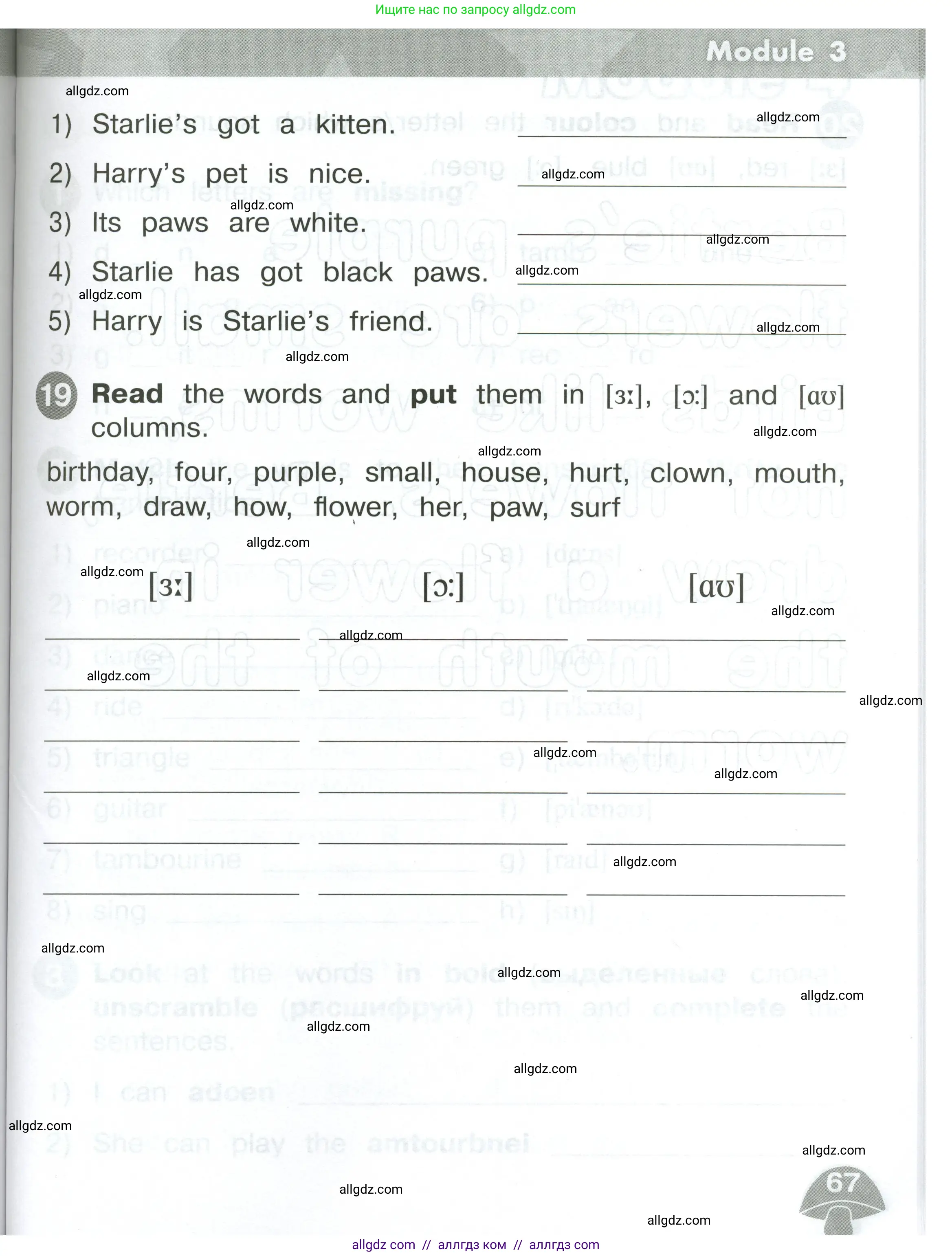 Английский язык (english), 2 класс Сборник упражнений, автор: Котова Марина Петровна, издательство Просвещение, Москва, 2023, белого цвета, страница 67