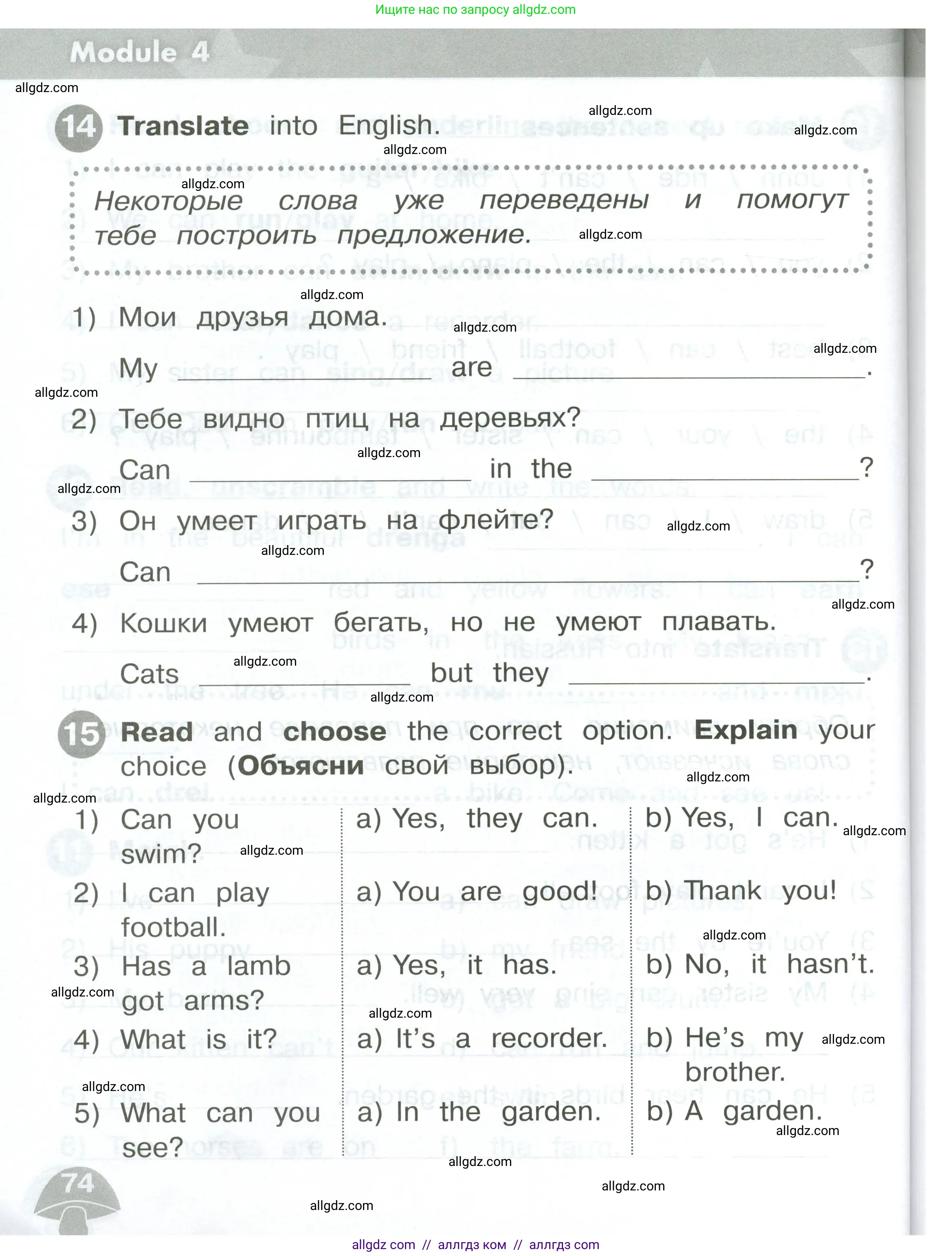 Английский язык (english), 2 класс Сборник упражнений, автор: Котова Марина Петровна, издательство Просвещение, Москва, 2023, белого цвета, страница 74
