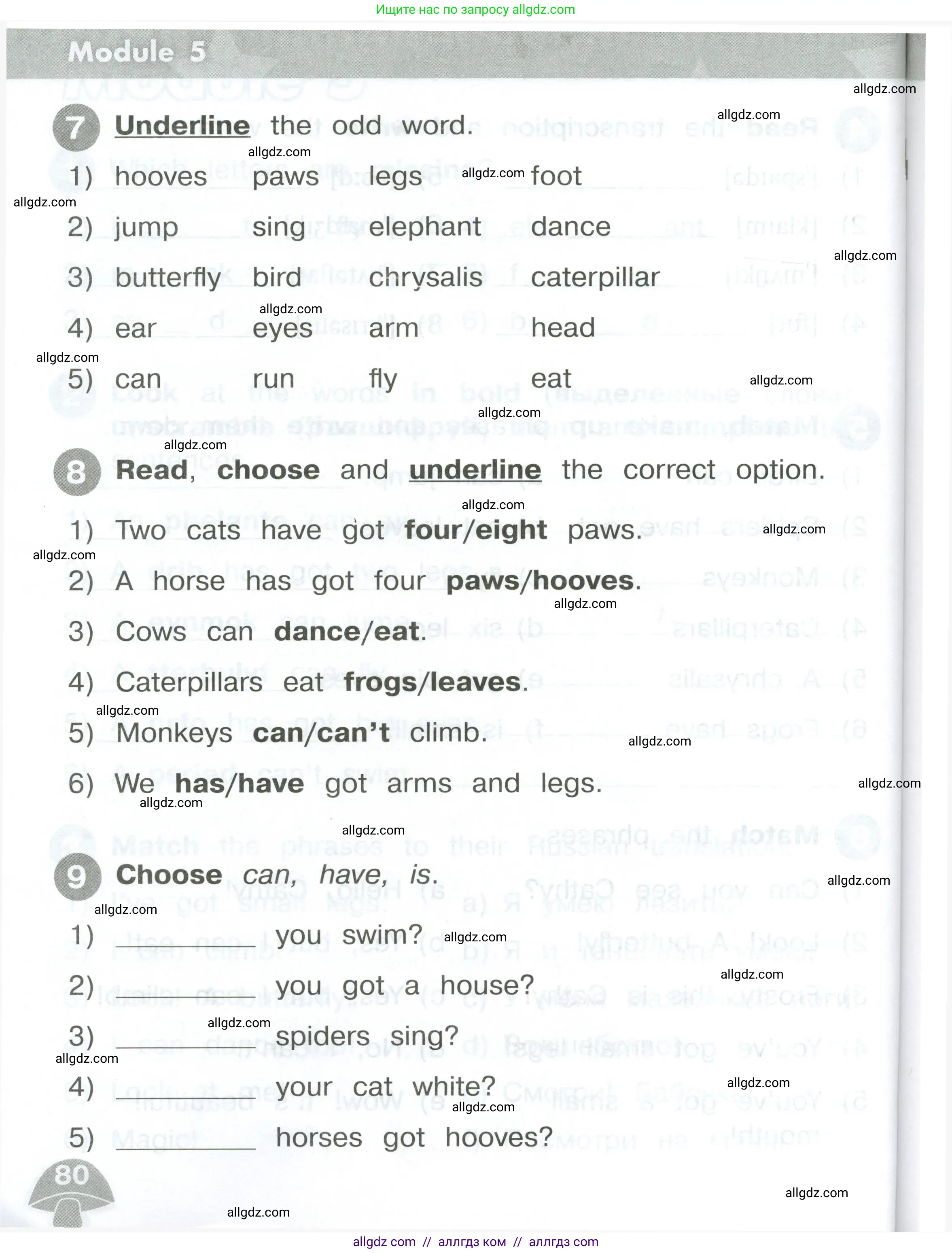 Английский язык (english), 2 класс Сборник упражнений, автор: Котова Марина Петровна, издательство Просвещение, Москва, 2023, белого цвета, страница 80