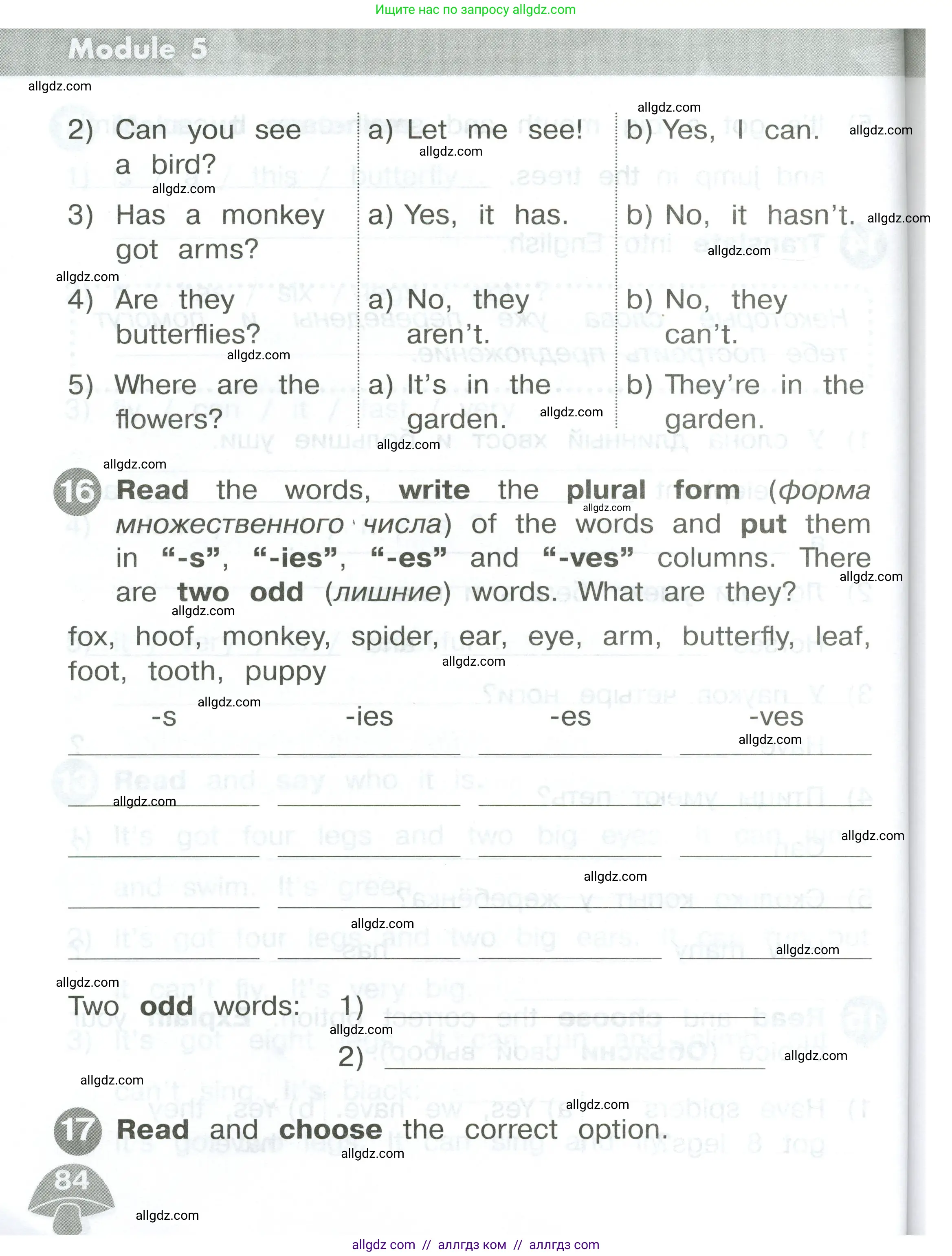 Английский язык (english), 2 класс Сборник упражнений, автор: Котова Марина Петровна, издательство Просвещение, Москва, 2023, белого цвета, страница 84