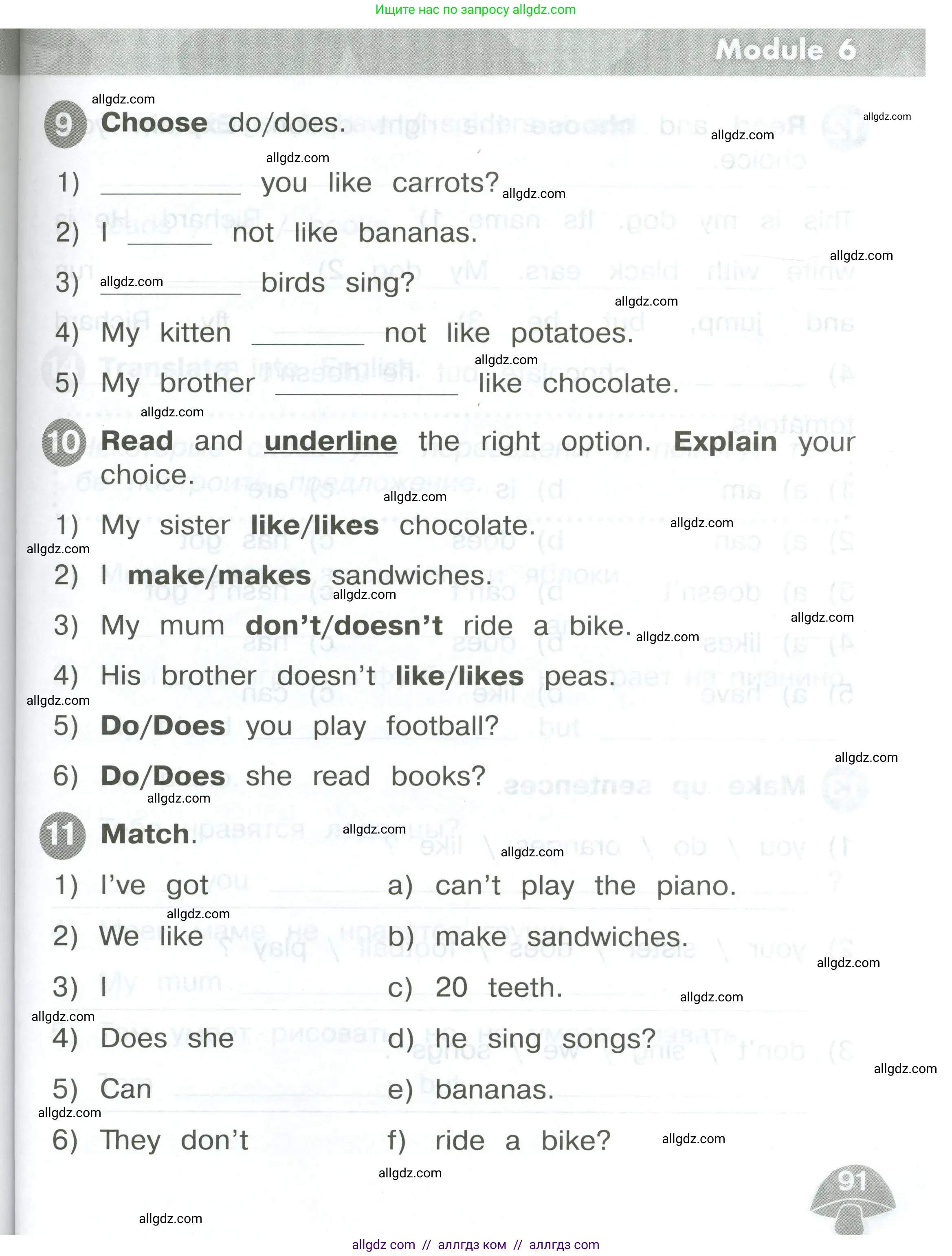 Английский язык (english), 2 класс Сборник упражнений, автор: Котова Марина Петровна, издательство Просвещение, Москва, 2023, белого цвета, страница 91