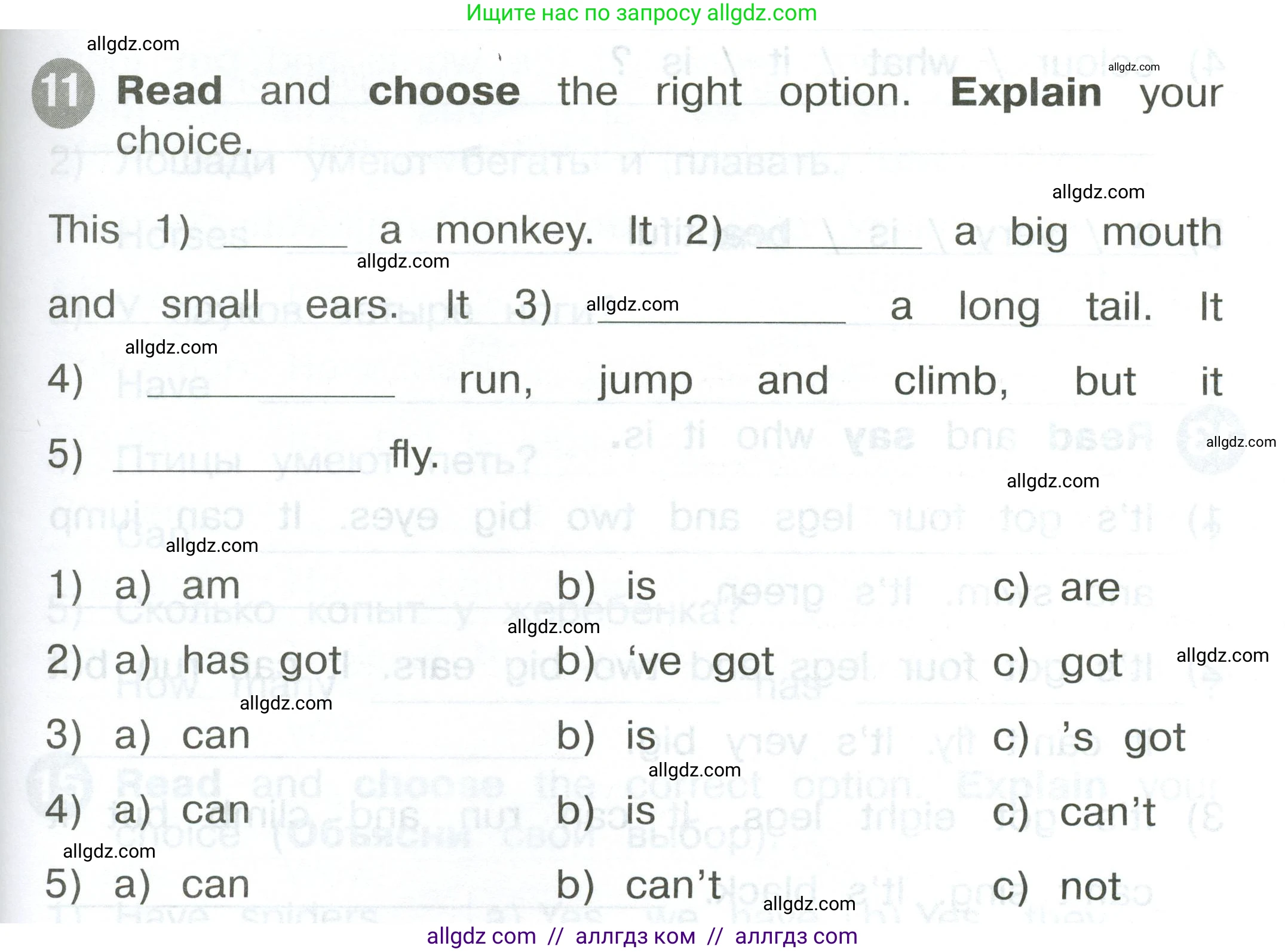 Английский язык (english), 2 класс Сборник упражнений, автор: Котова Марина Петровна, издательство Просвещение, Москва, 2023, белого цвета, страница 81, номер 11, Условие