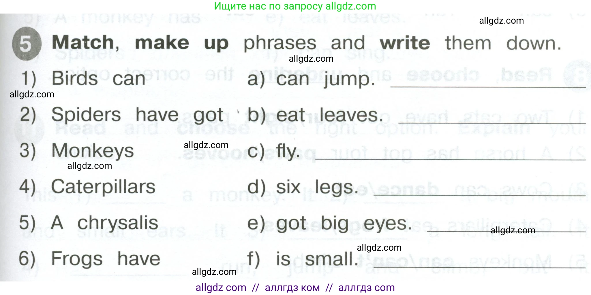 Английский язык (english), 2 класс Сборник упражнений, автор: Котова Марина Петровна, издательство Просвещение, Москва, 2023, белого цвета, страница 79, номер 5, Условие