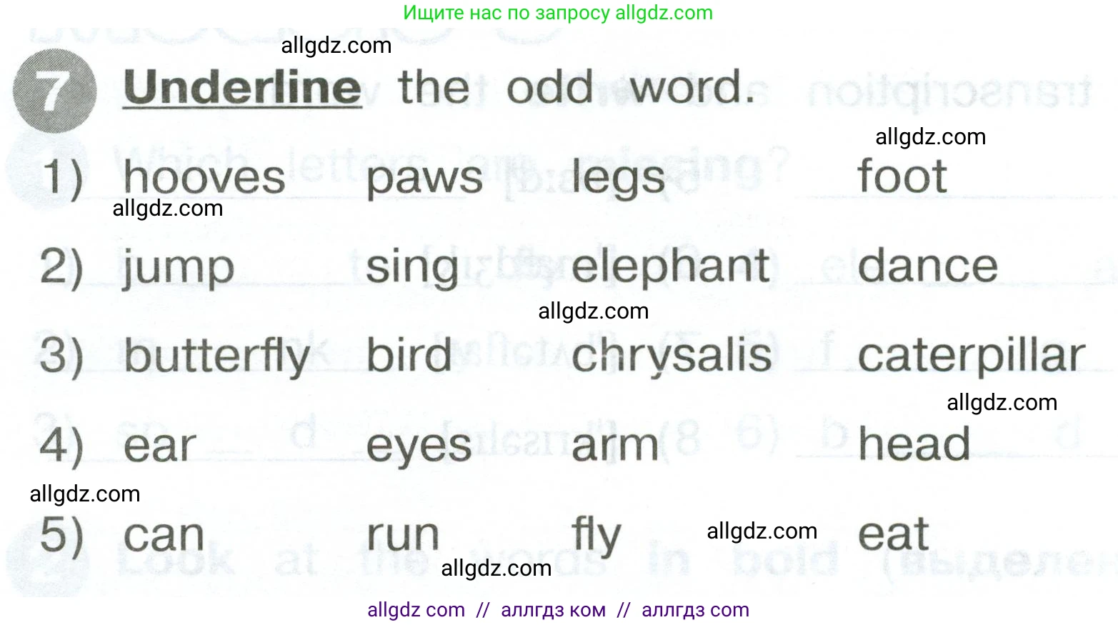 Английский язык (english), 2 класс Сборник упражнений, автор: Котова Марина Петровна, издательство Просвещение, Москва, 2023, белого цвета, страница 80, номер 7, Условие