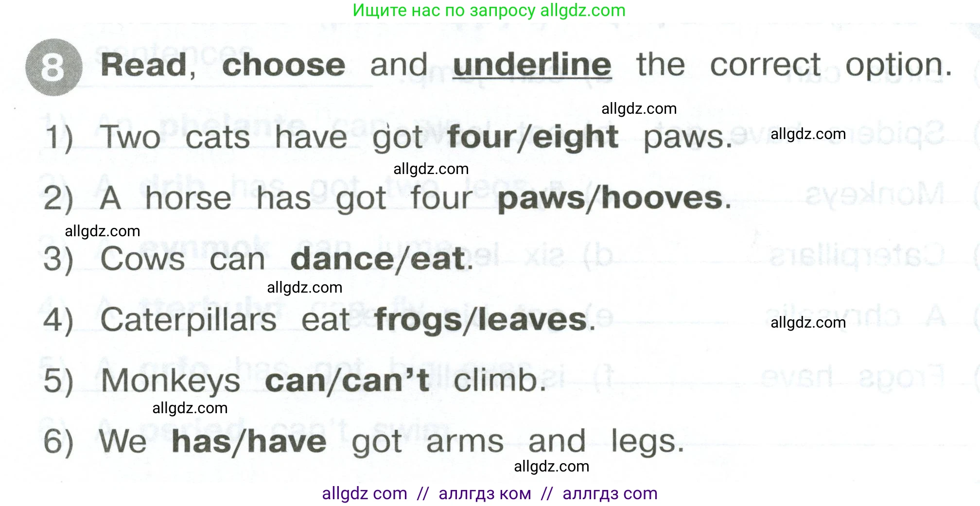 Английский язык (english), 2 класс Сборник упражнений, автор: Котова Марина Петровна, издательство Просвещение, Москва, 2023, белого цвета, страница 80, номер 8, Условие