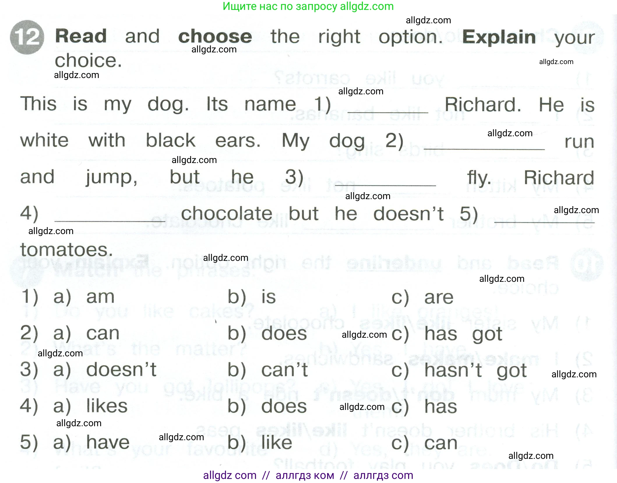 Английский язык (english), 2 класс Сборник упражнений, автор: Котова Марина Петровна, издательство Просвещение, Москва, 2023, белого цвета, страница 92, номер 12, Условие