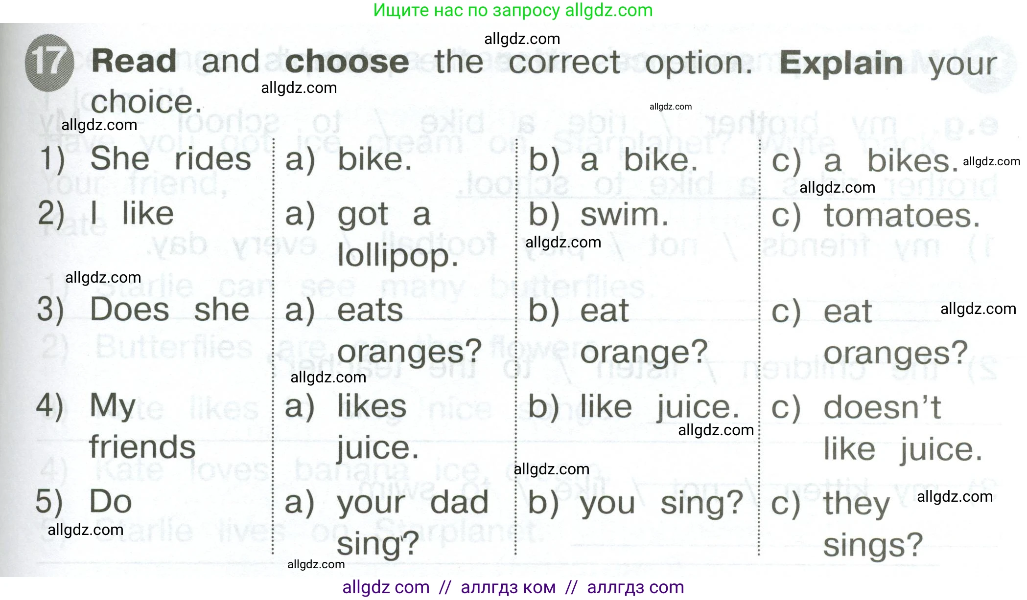Английский язык (english), 2 класс Сборник упражнений, автор: Котова Марина Петровна, издательство Просвещение, Москва, 2023, белого цвета, страница 95, номер 17, Условие