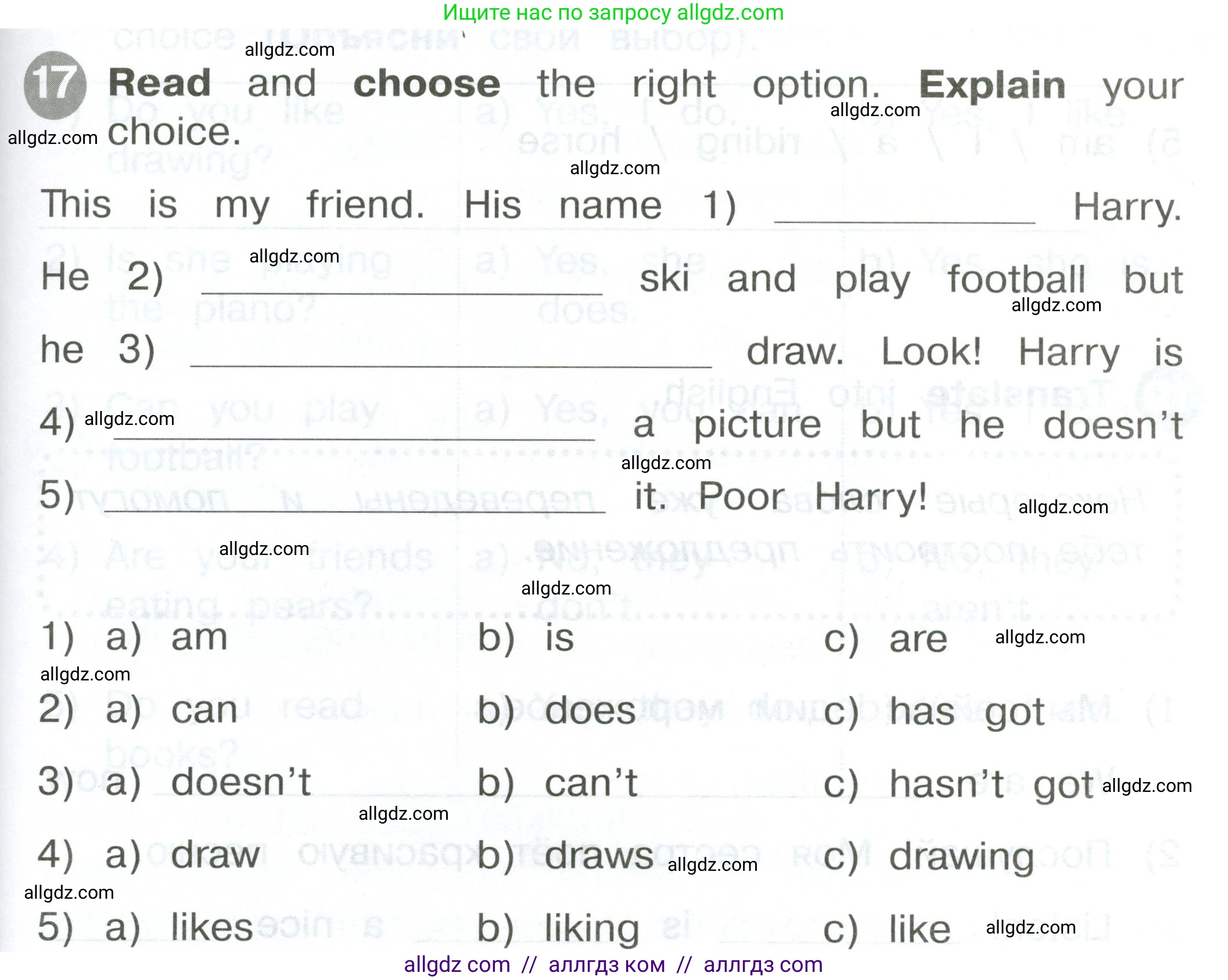 Английский язык (english), 2 класс Сборник упражнений, автор: Котова Марина Петровна, издательство Просвещение, Москва, 2023, белого цвета, страница 105, номер 17, Условие