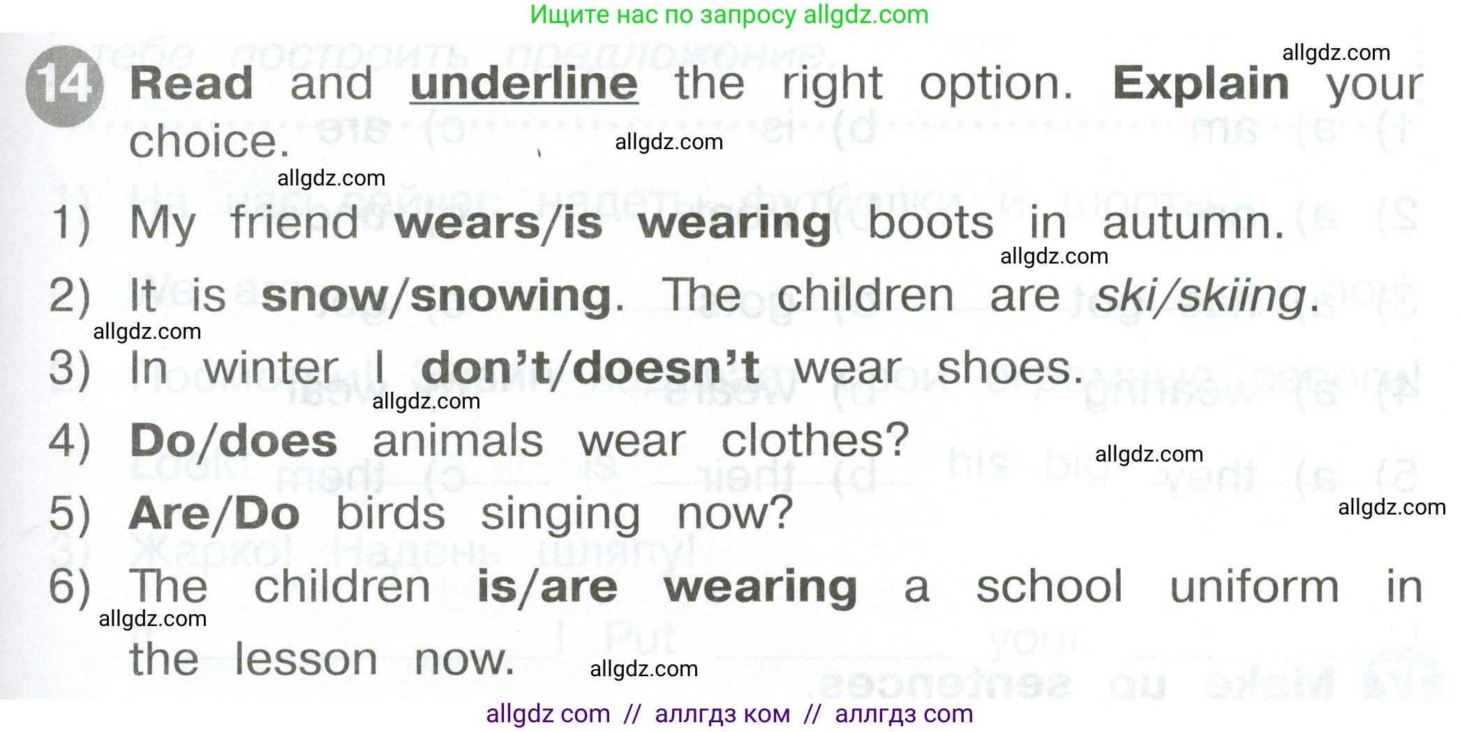 Английский язык (english), 2 класс Сборник упражнений, автор: Котова Марина Петровна, издательство Просвещение, Москва, 2023, белого цвета, страница 117, номер 14, Условие