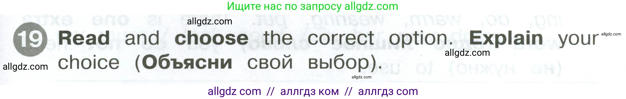 Английский язык (english), 2 класс Сборник упражнений, автор: Котова Марина Петровна, издательство Просвещение, Москва, 2023, белого цвета, страница 119, номер 19, Условие