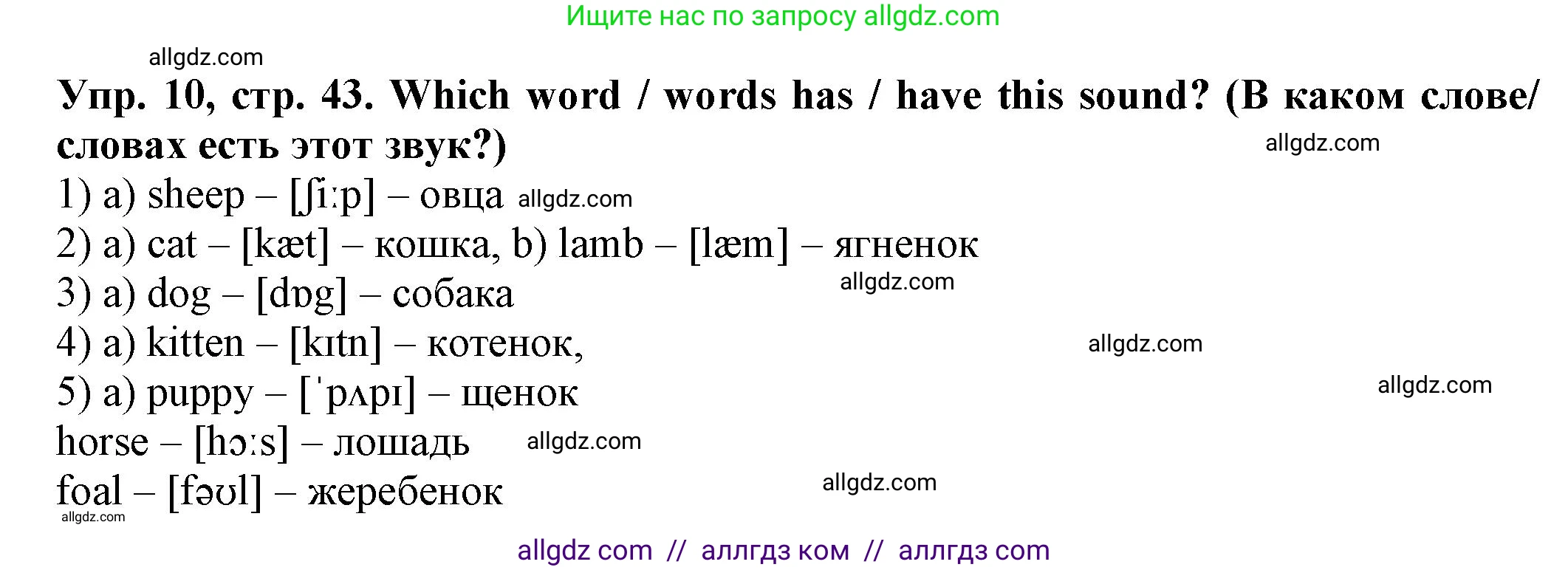 Английский язык (english), 2 класс Сборник упражнений, автор: Котова Марина Петровна, издательство Просвещение, Москва, 2023, белого цвета, страница 43, номер 10, Решение