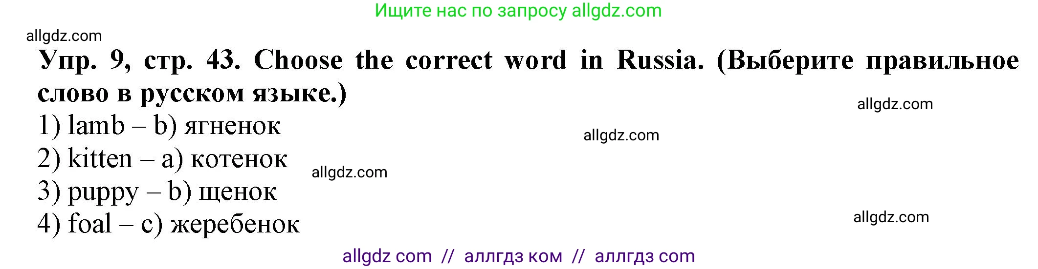 Английский язык (english), 2 класс Сборник упражнений, автор: Котова Марина Петровна, издательство Просвещение, Москва, 2023, белого цвета, страница 43, номер 9, Решение