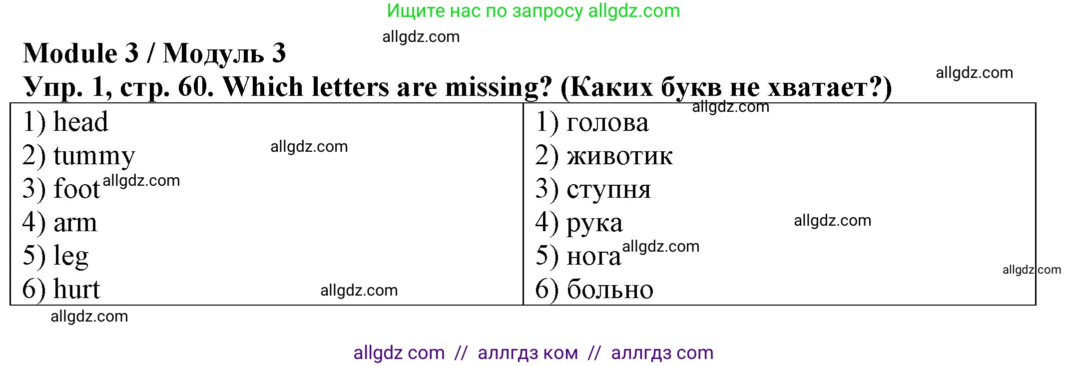 Английский язык (english), 2 класс Сборник упражнений, автор: Котова Марина Петровна, издательство Просвещение, Москва, 2023, белого цвета, страница 60, номер 1, Решение