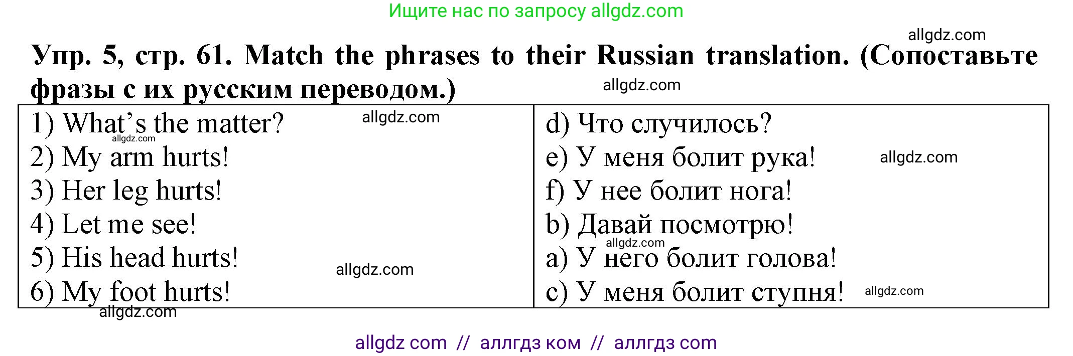 Английский язык (english), 2 класс Сборник упражнений, автор: Котова Марина Петровна, издательство Просвещение, Москва, 2023, белого цвета, страница 61, номер 5, Решение
